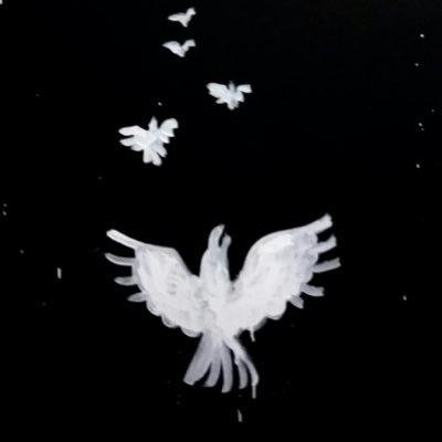 user avatar image for M. Rook