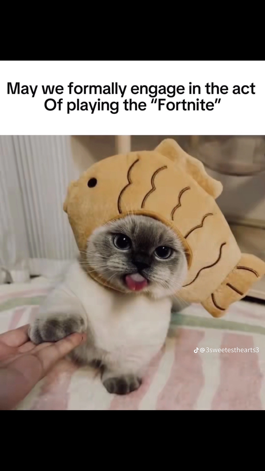 user avatar image for Xyan!