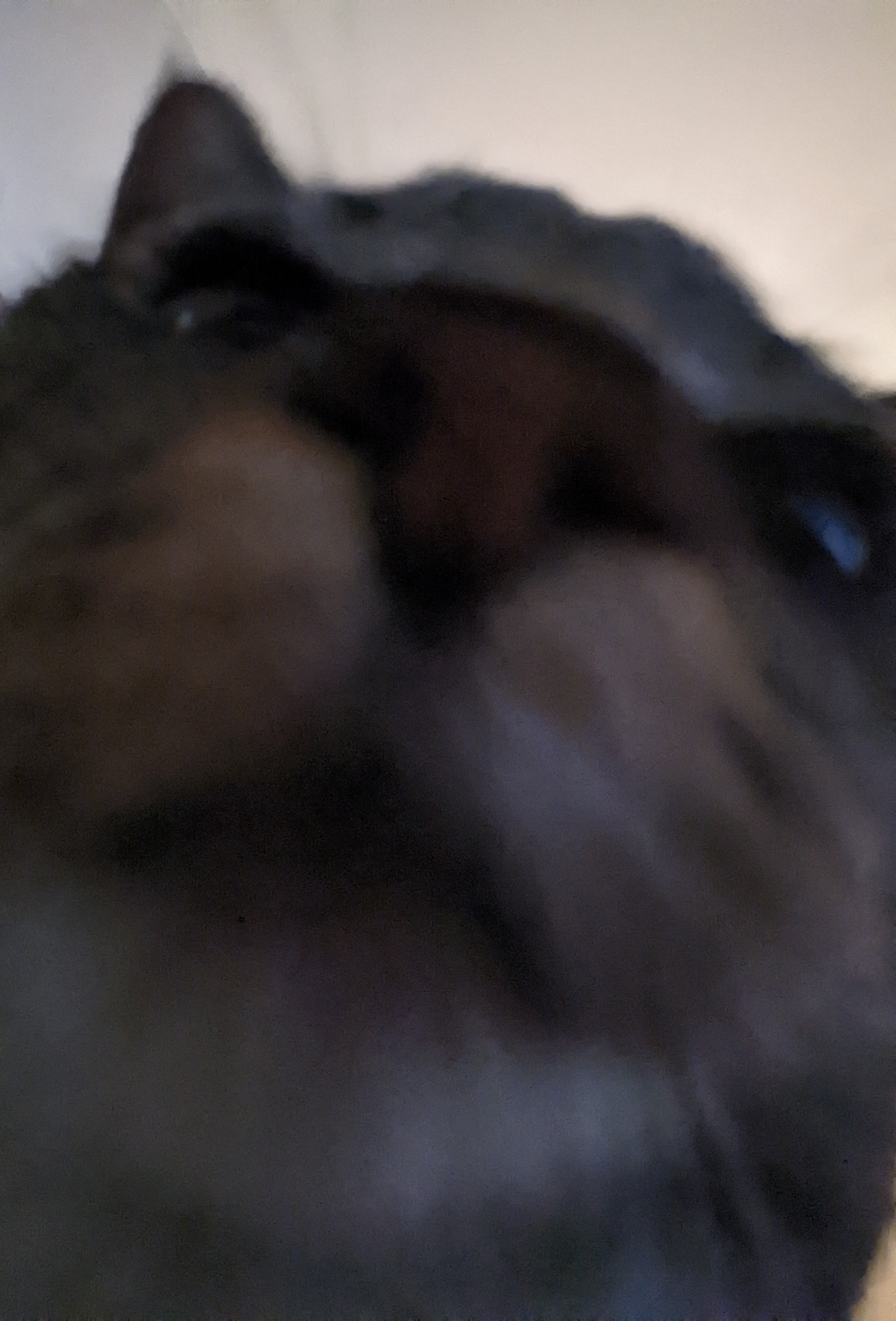 user avatar image for billy