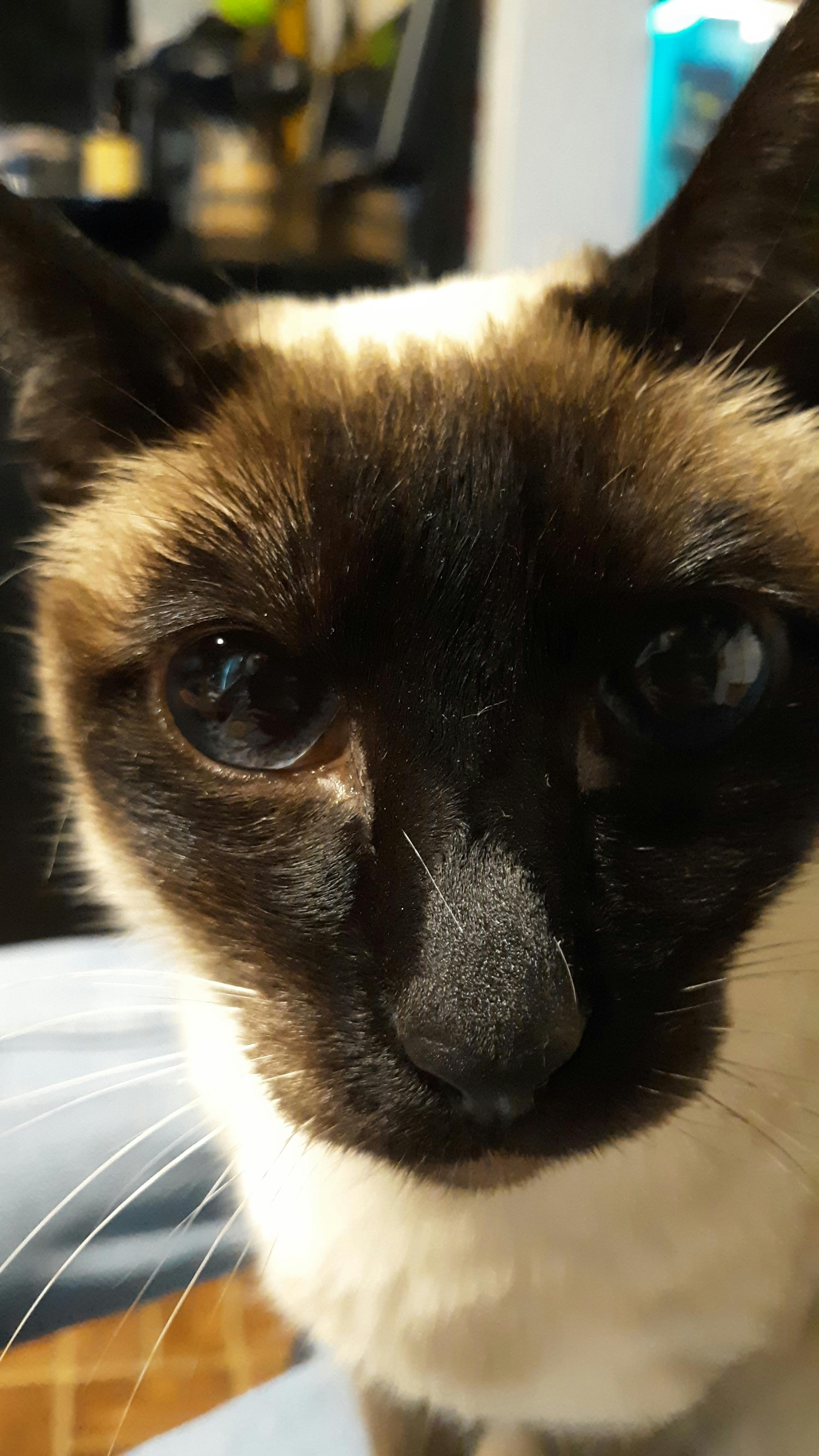 user avatar image for Nick DeGray