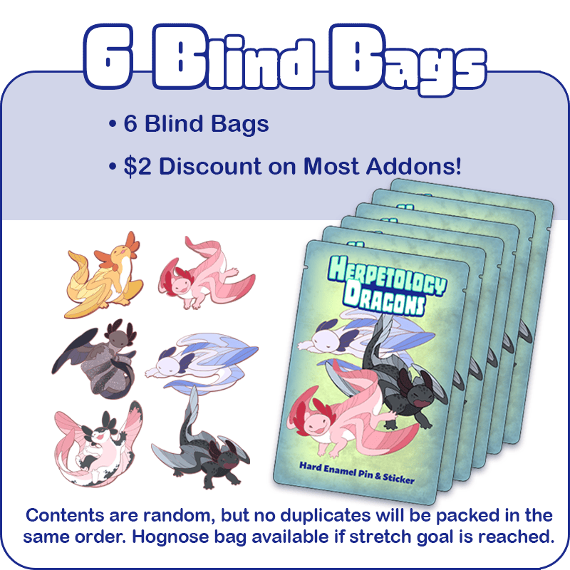 6 Blind Bags