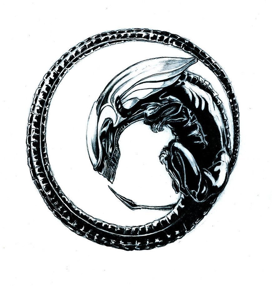 user avatar image for Mattias