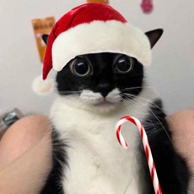 user avatar image for mael