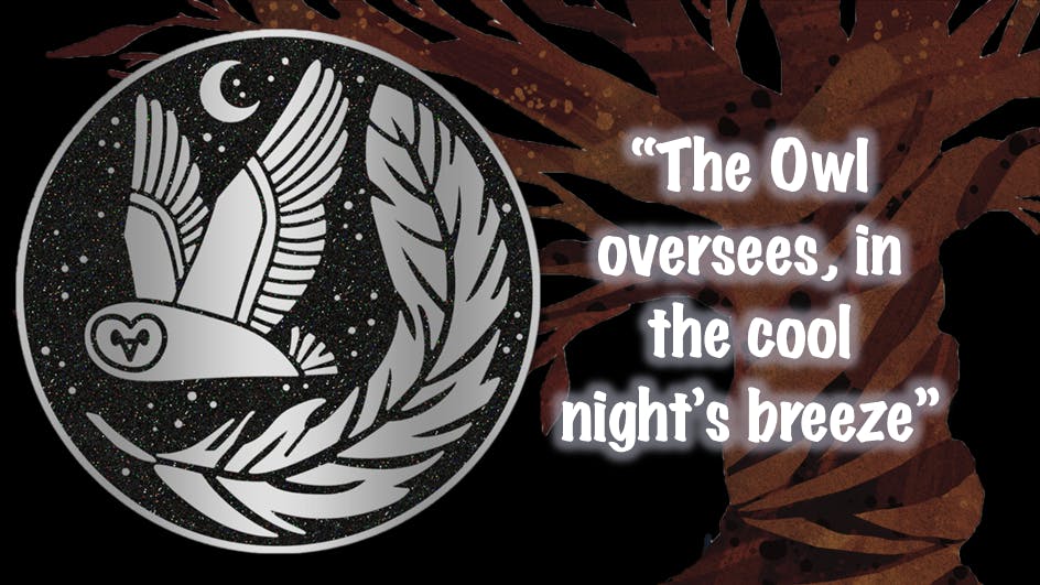 The Owl is my Chosen One