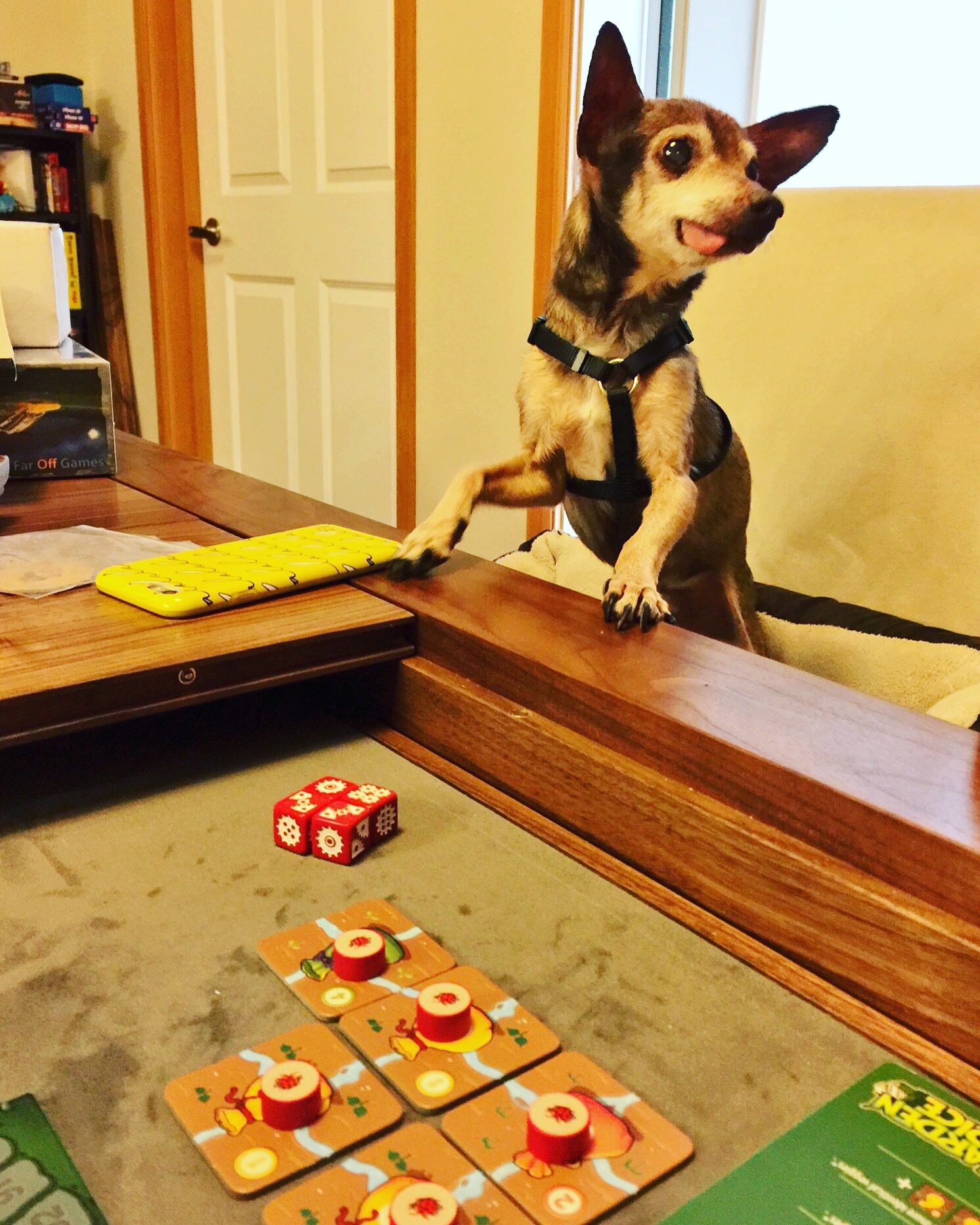 user avatar image for Paddy Melts