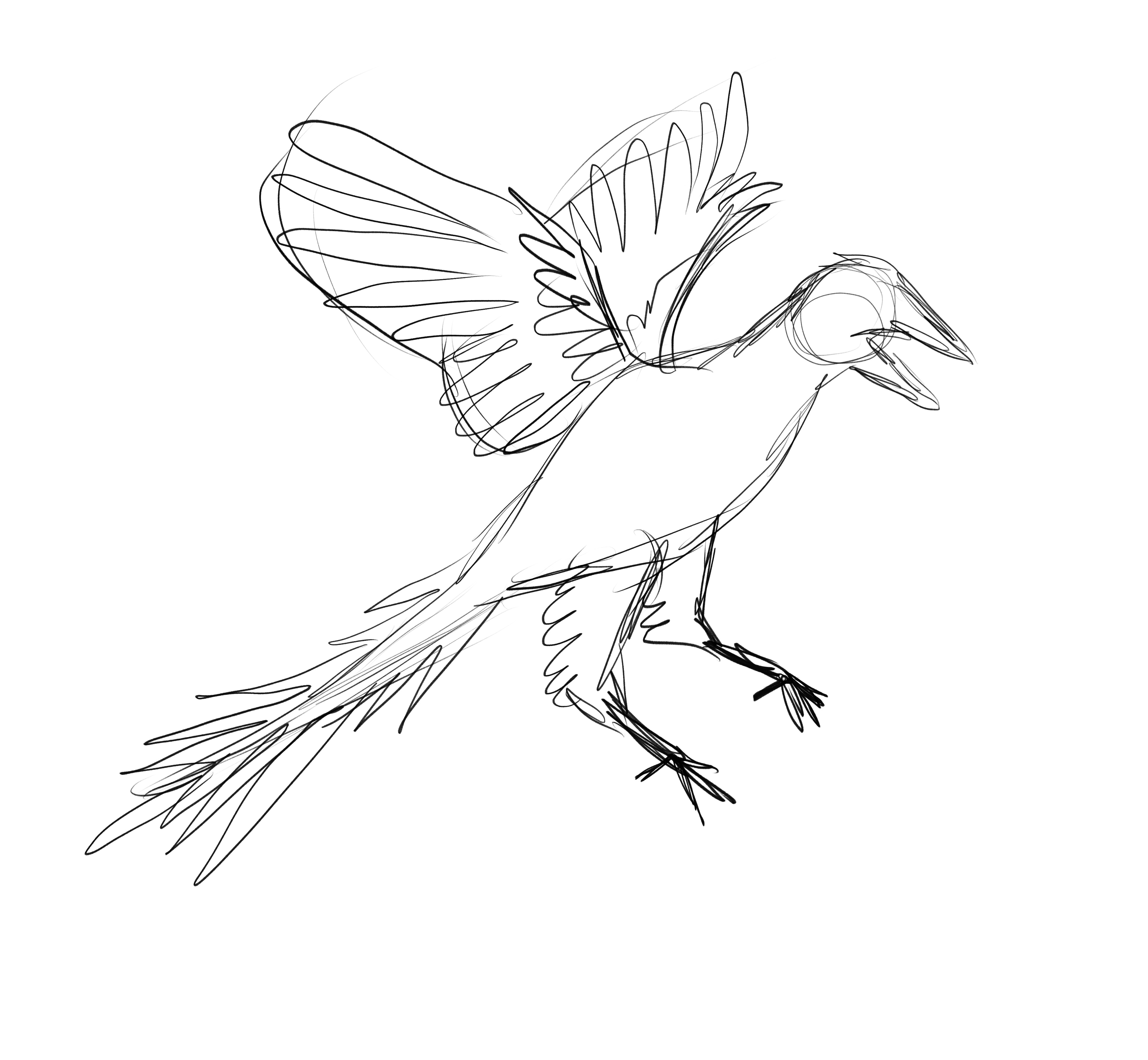 Archaeopteryx