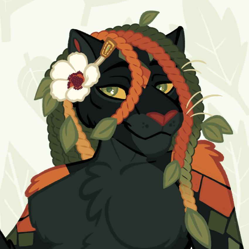 user avatar image for Ayo