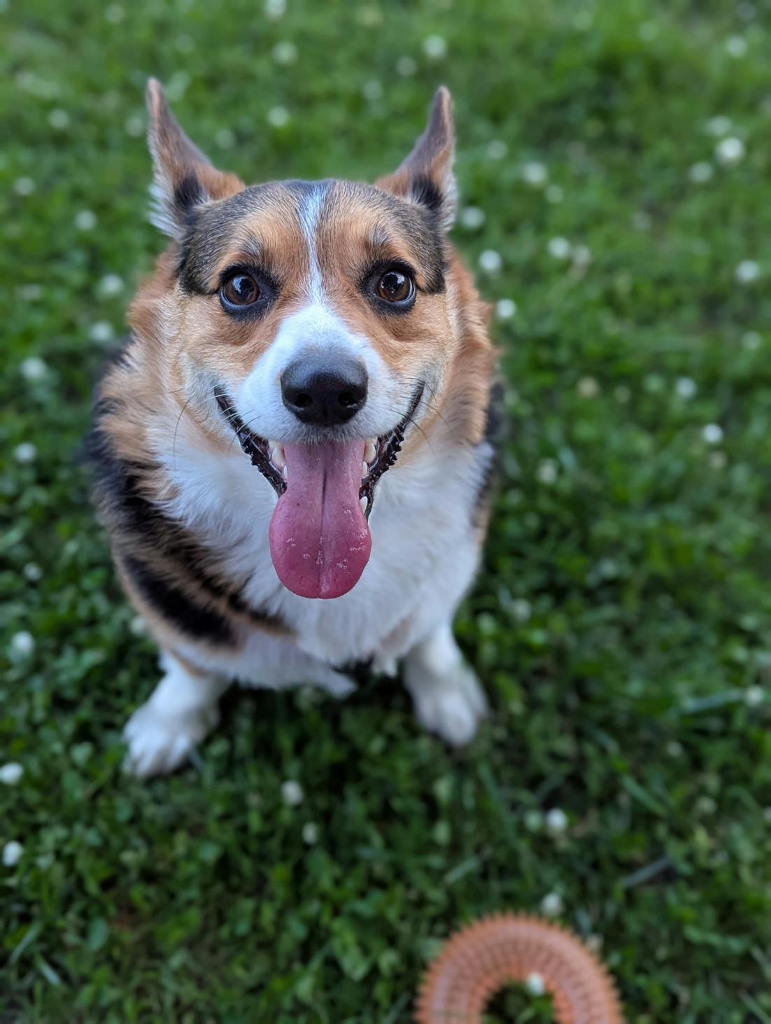 user avatar image for Jason