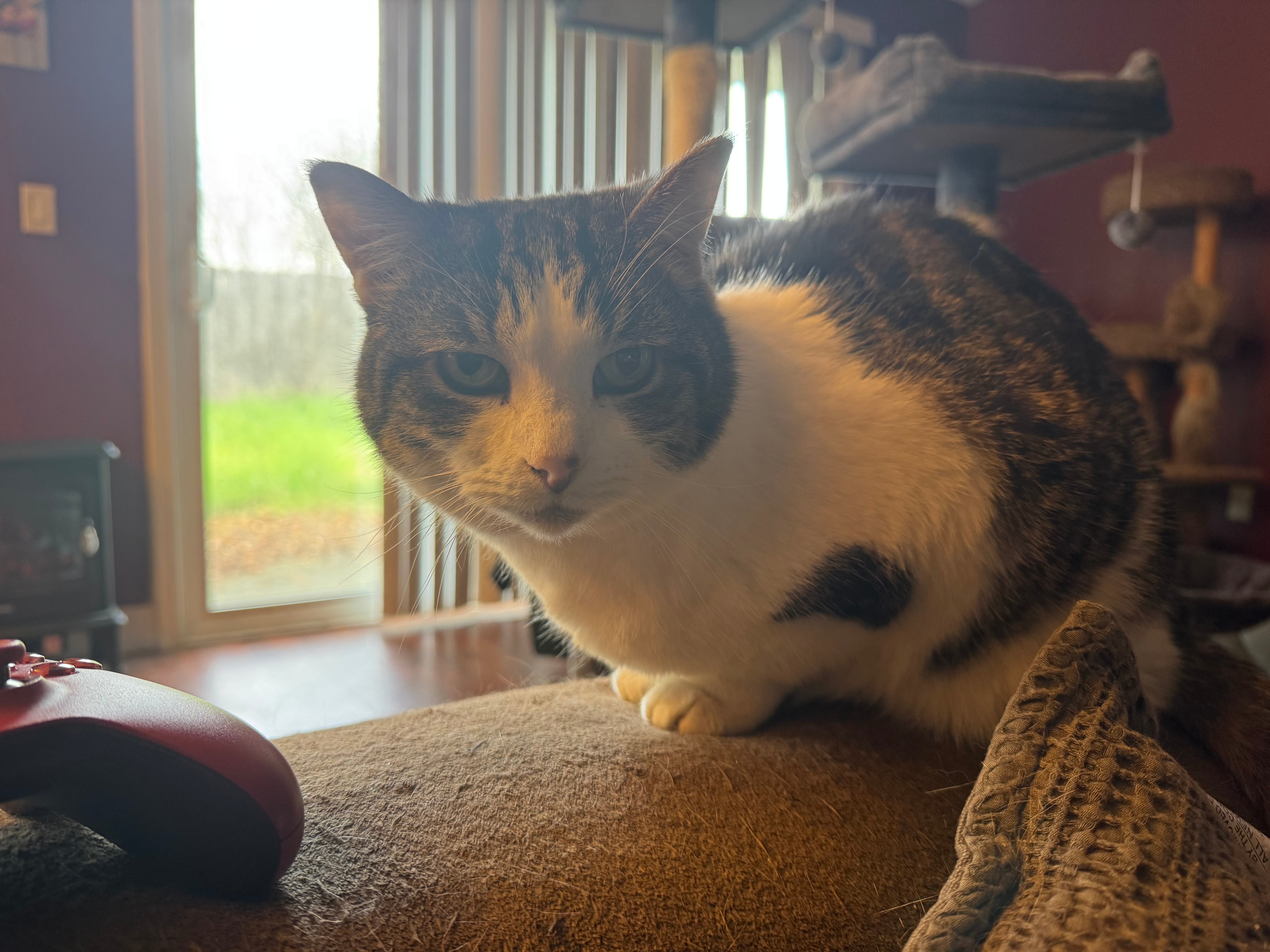 user avatar image for Denise Hallock