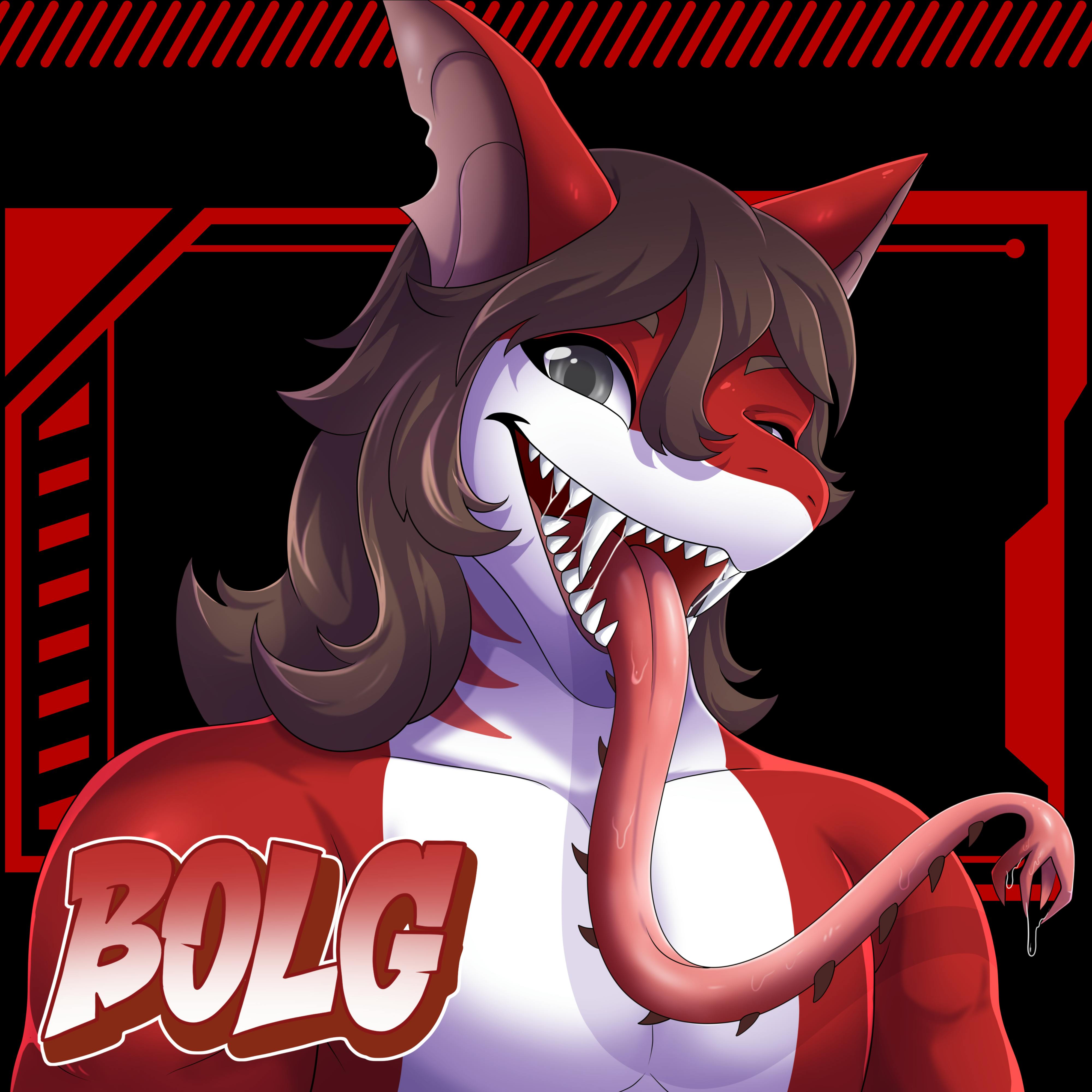 user avatar image for Bolg