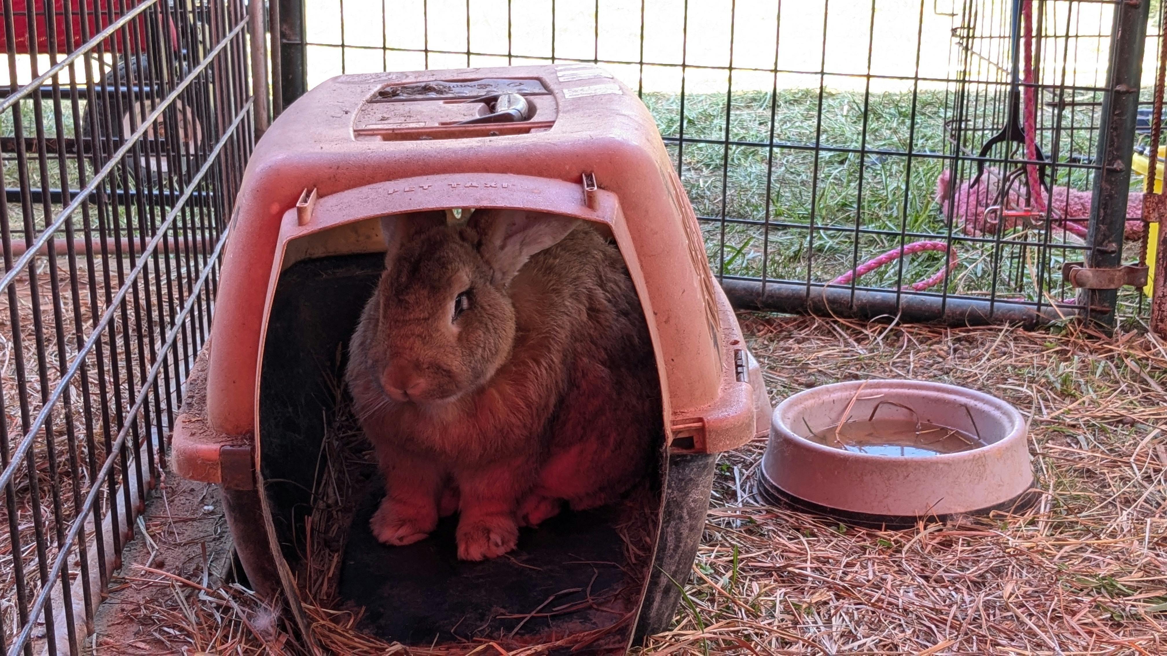 user avatar image for bob