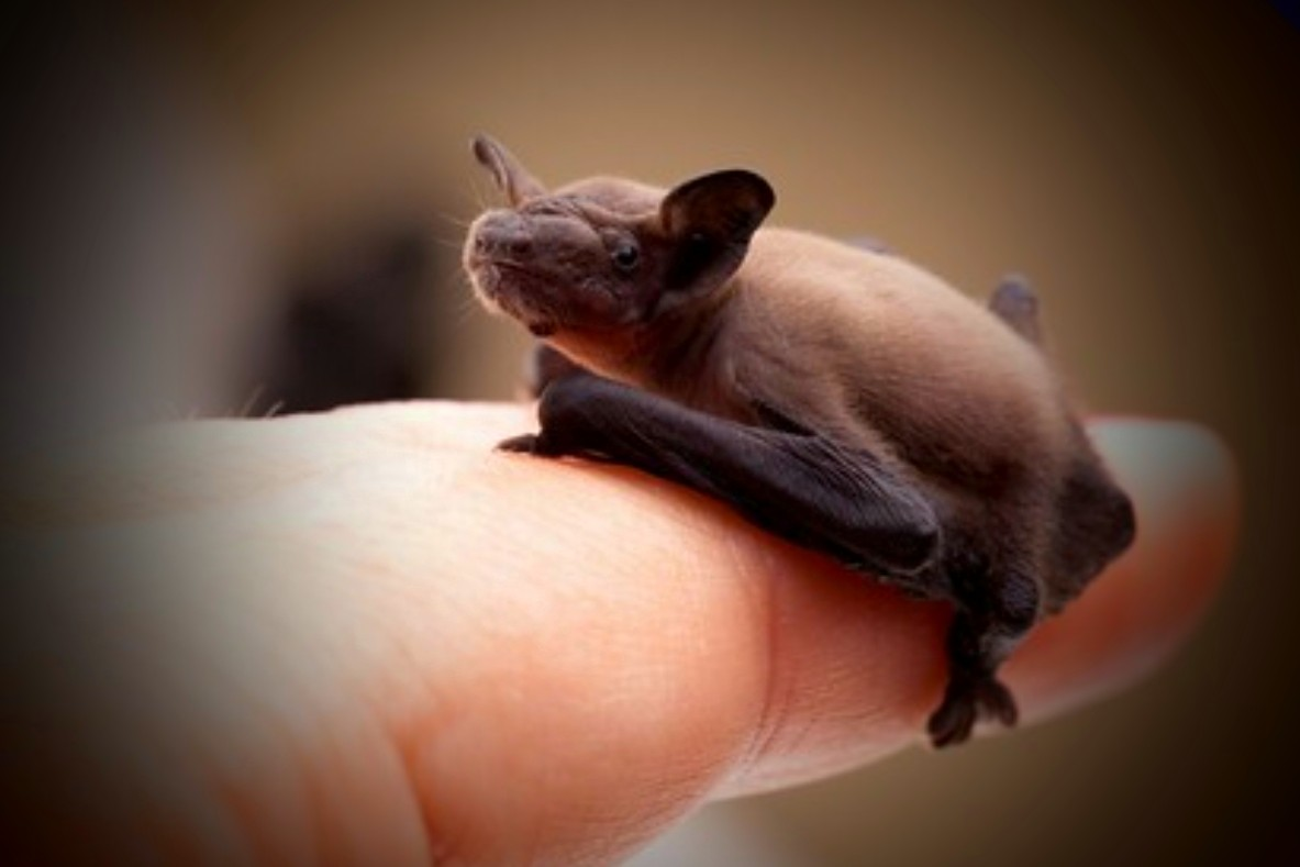 user avatar image for LastPlaceRibbon 