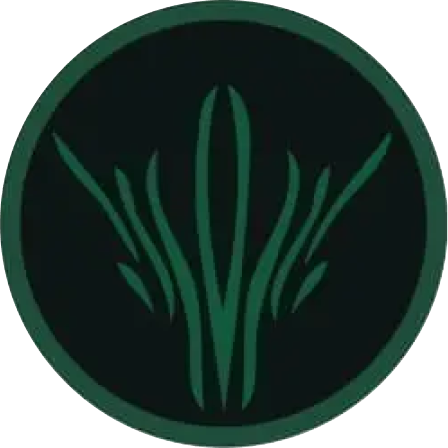 team badge icon