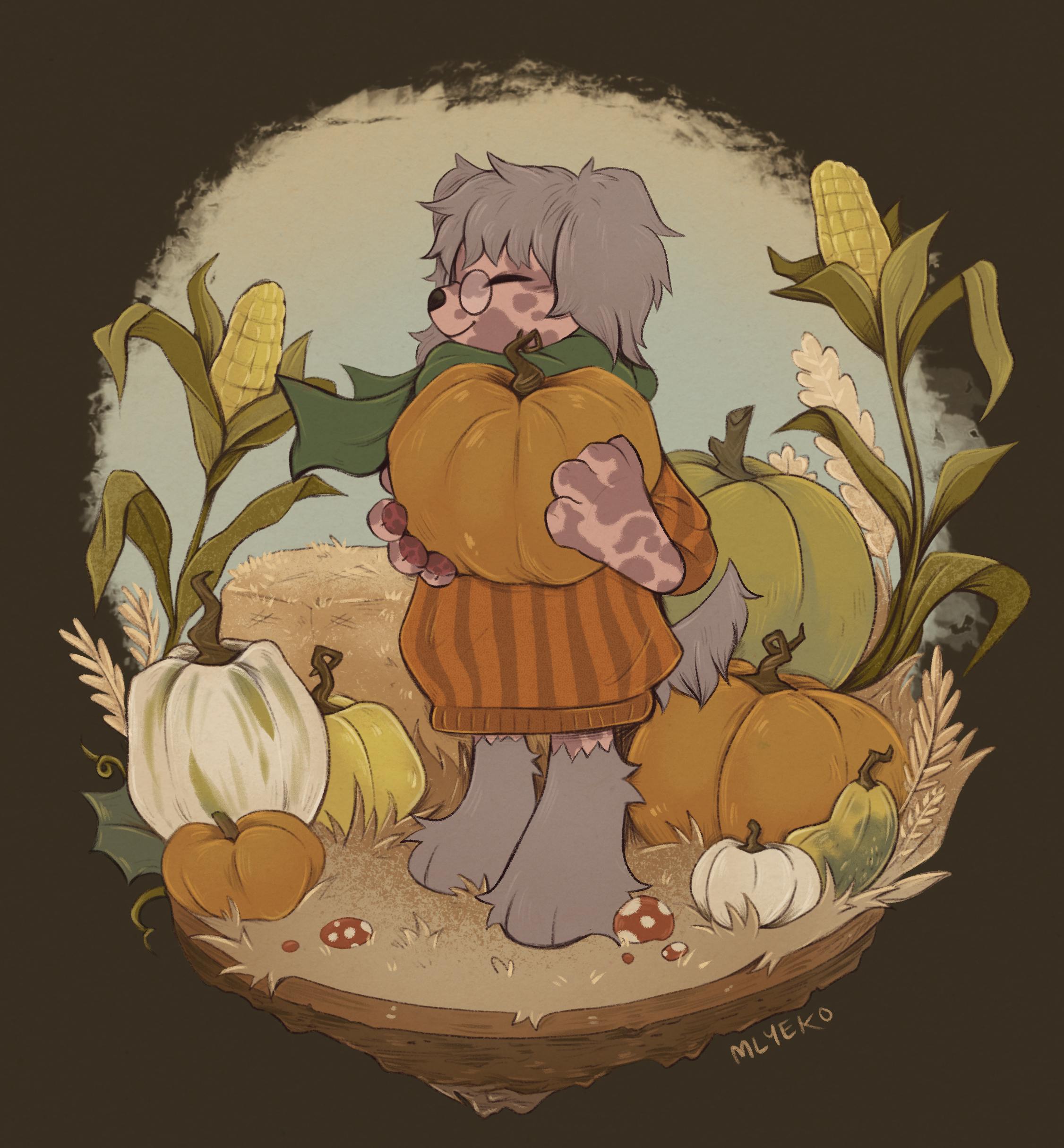 user avatar image for Donny Shears