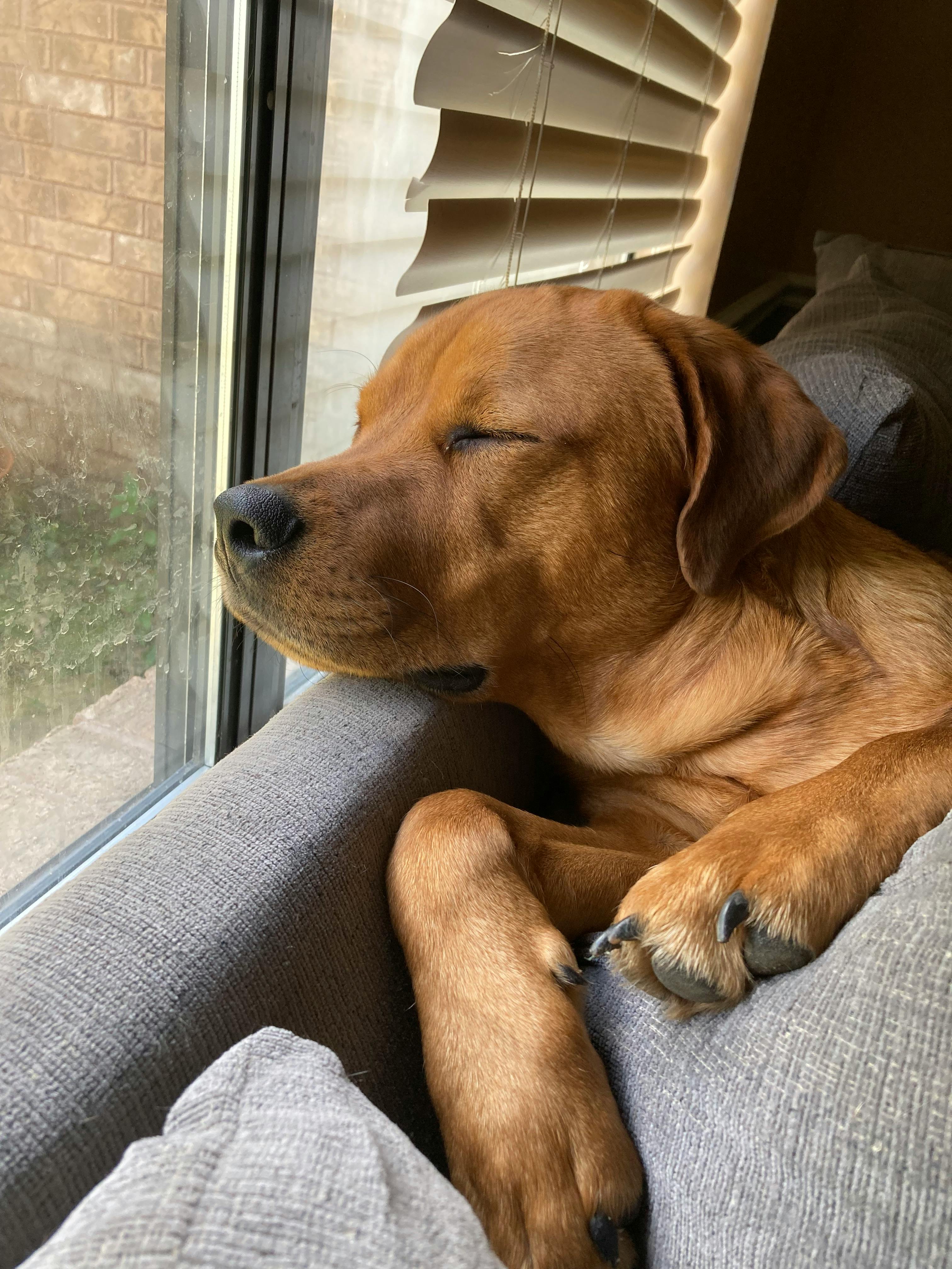 user avatar image for Elie