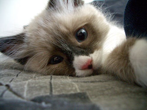 user avatar image for Anon314159