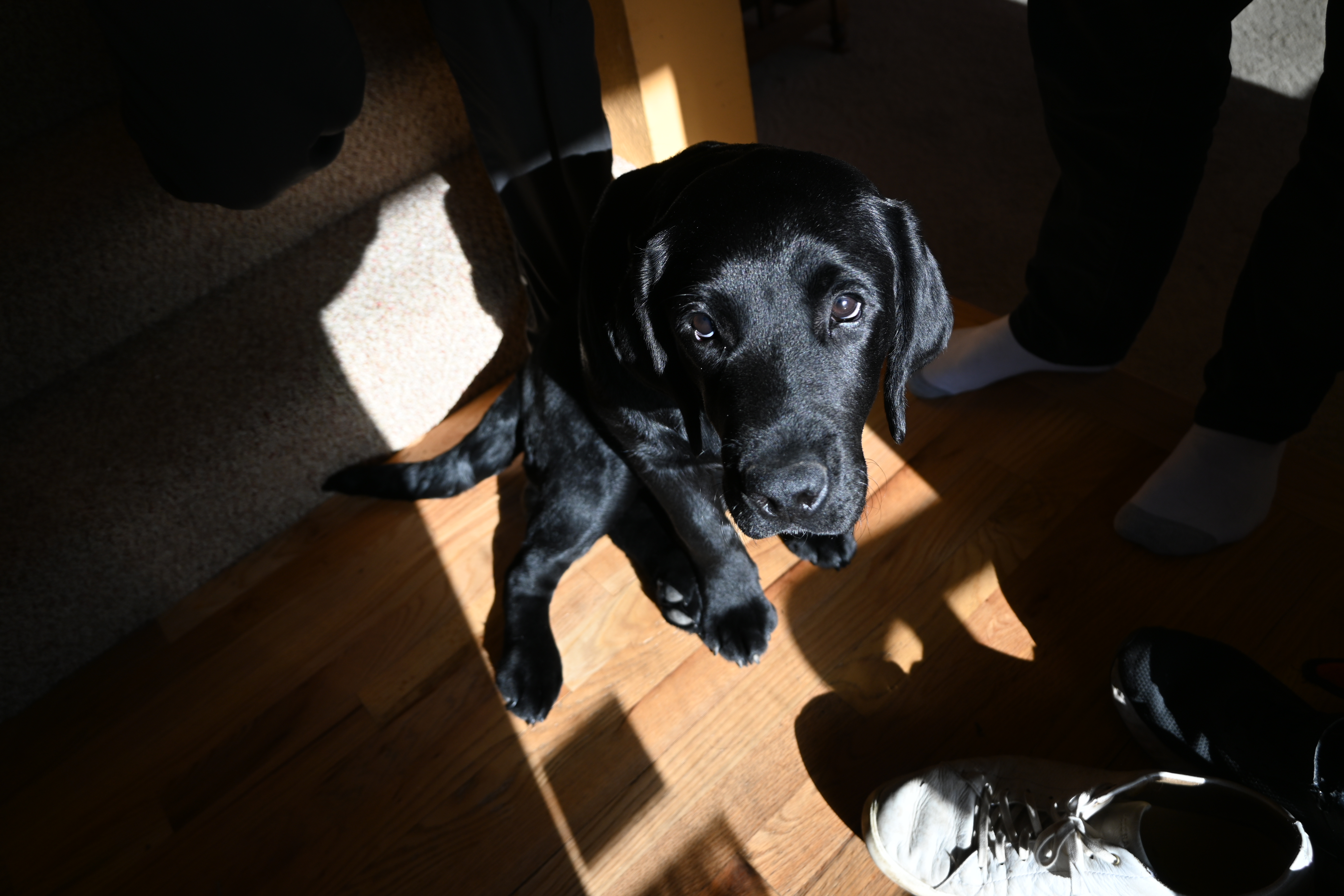 user avatar image for David Harrison