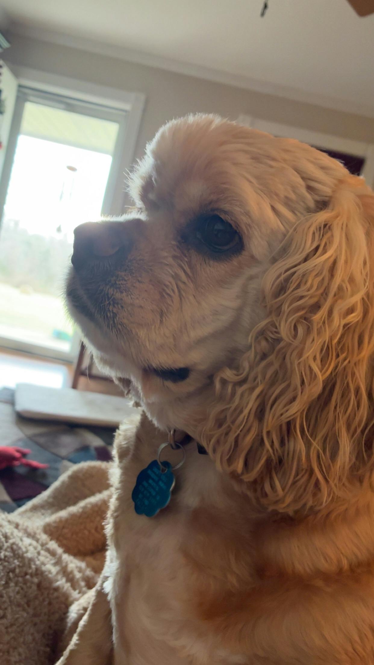 user avatar image for Gina York