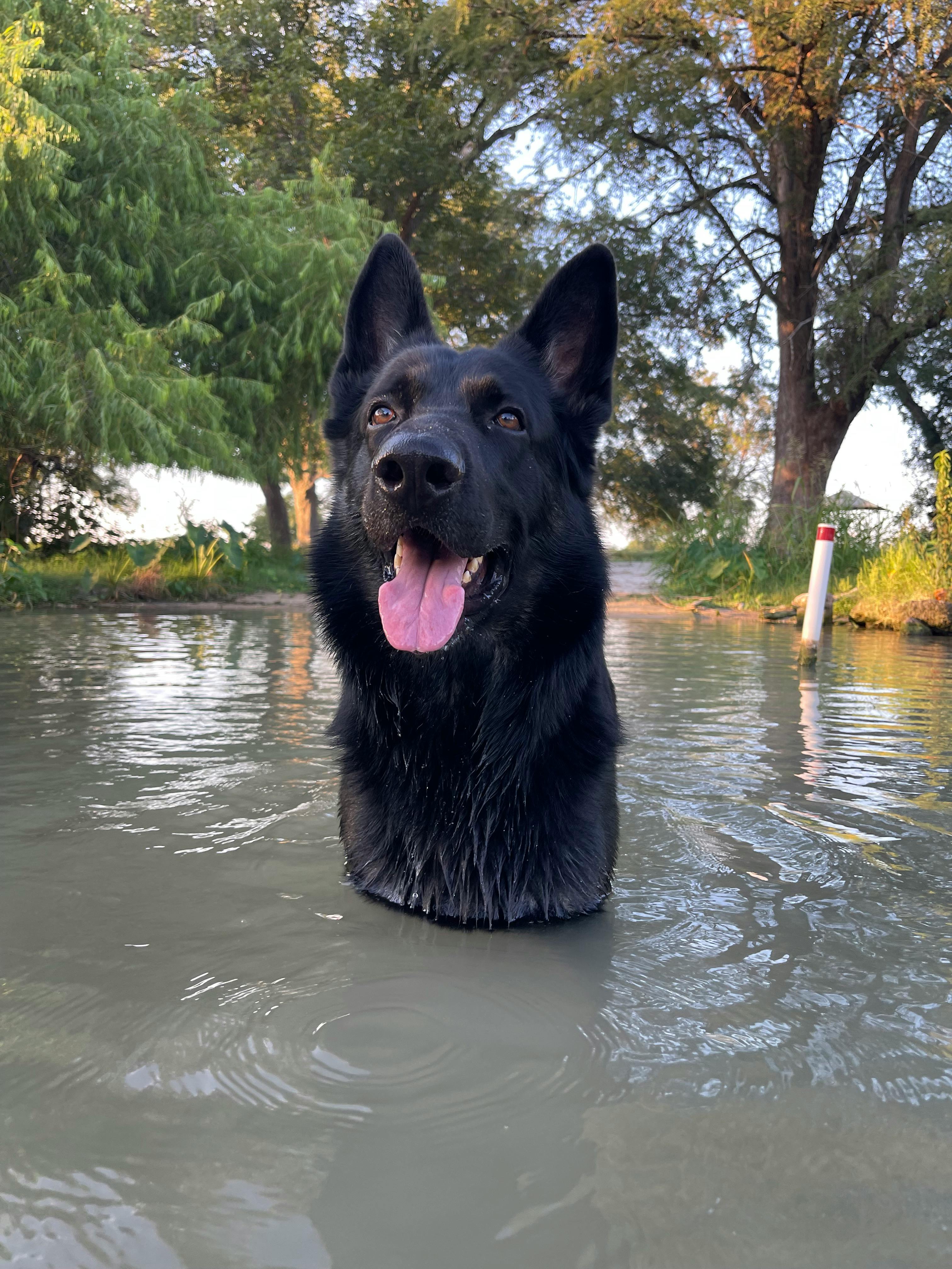 user avatar image for Aspen