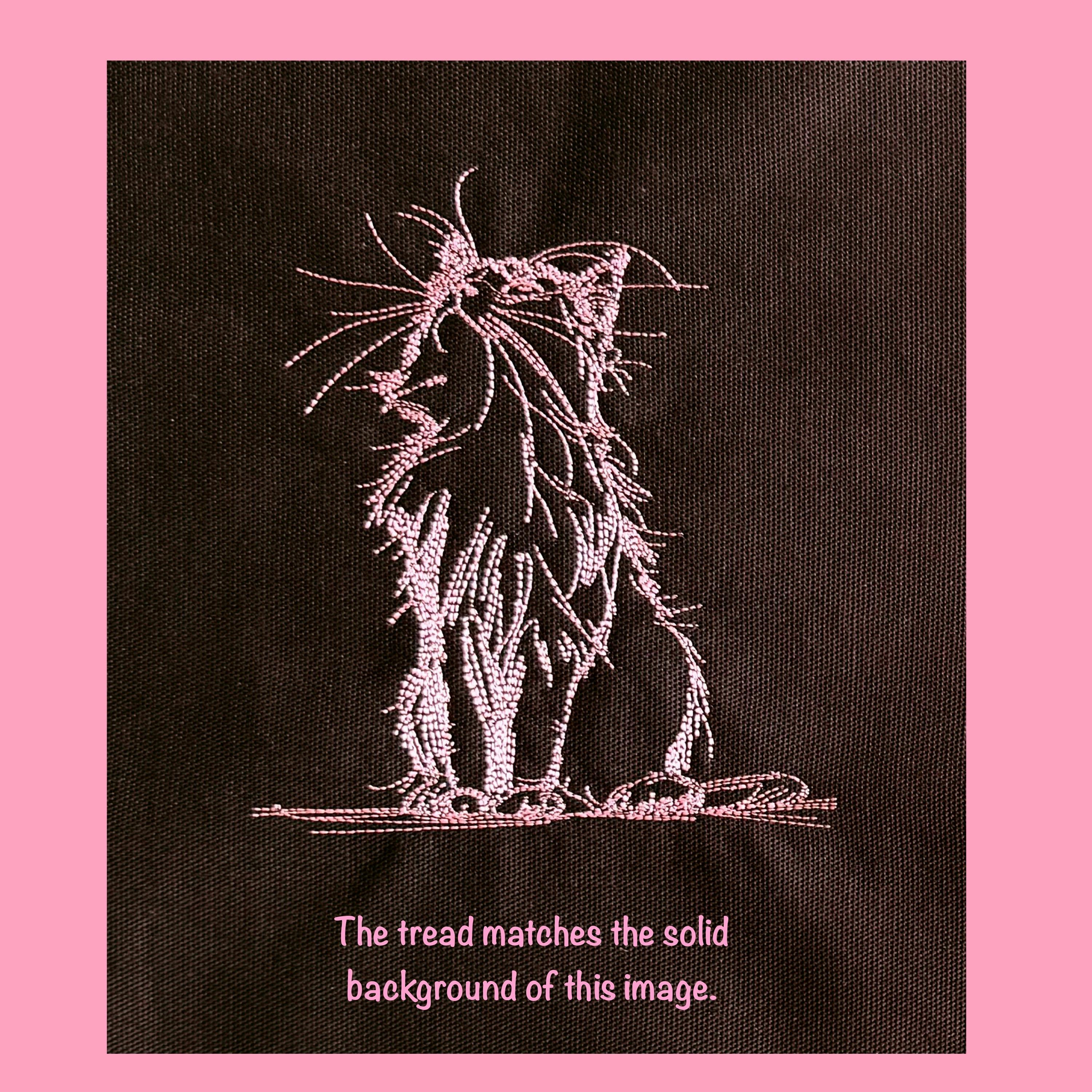 Pink Maine Coon on Black Pin banner