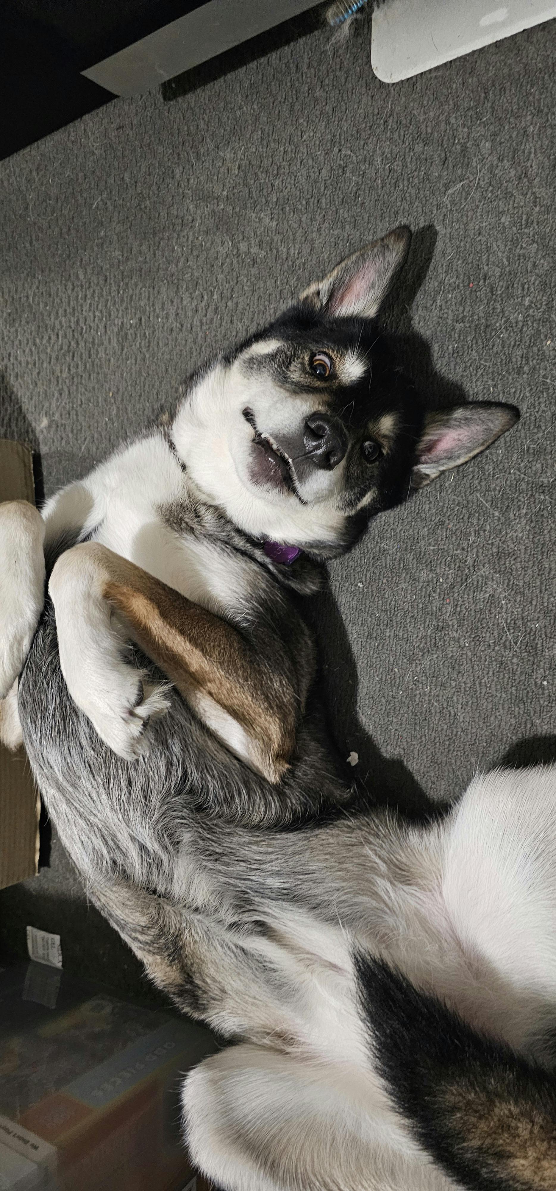 user avatar image for Matt Black