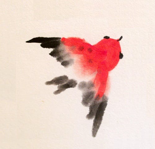 user avatar image for Liralen