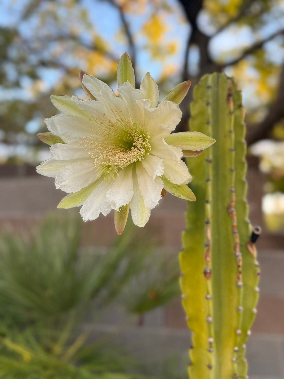 user avatar image for Hanna