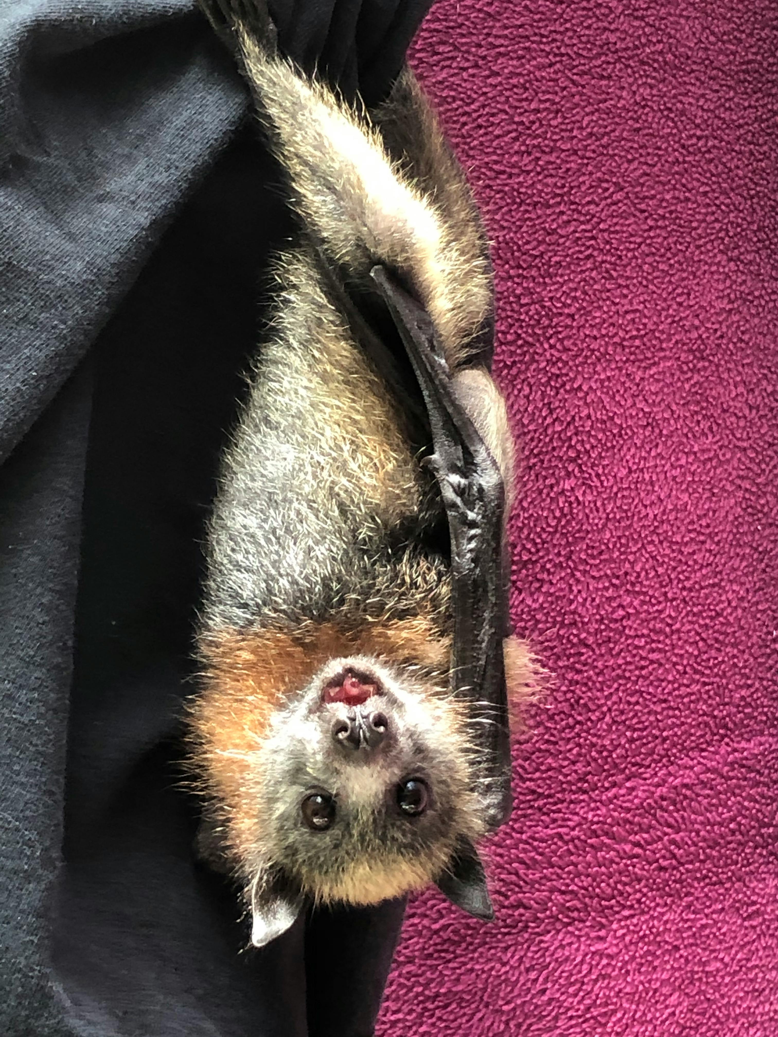 user avatar image for Susan Parrish Smith