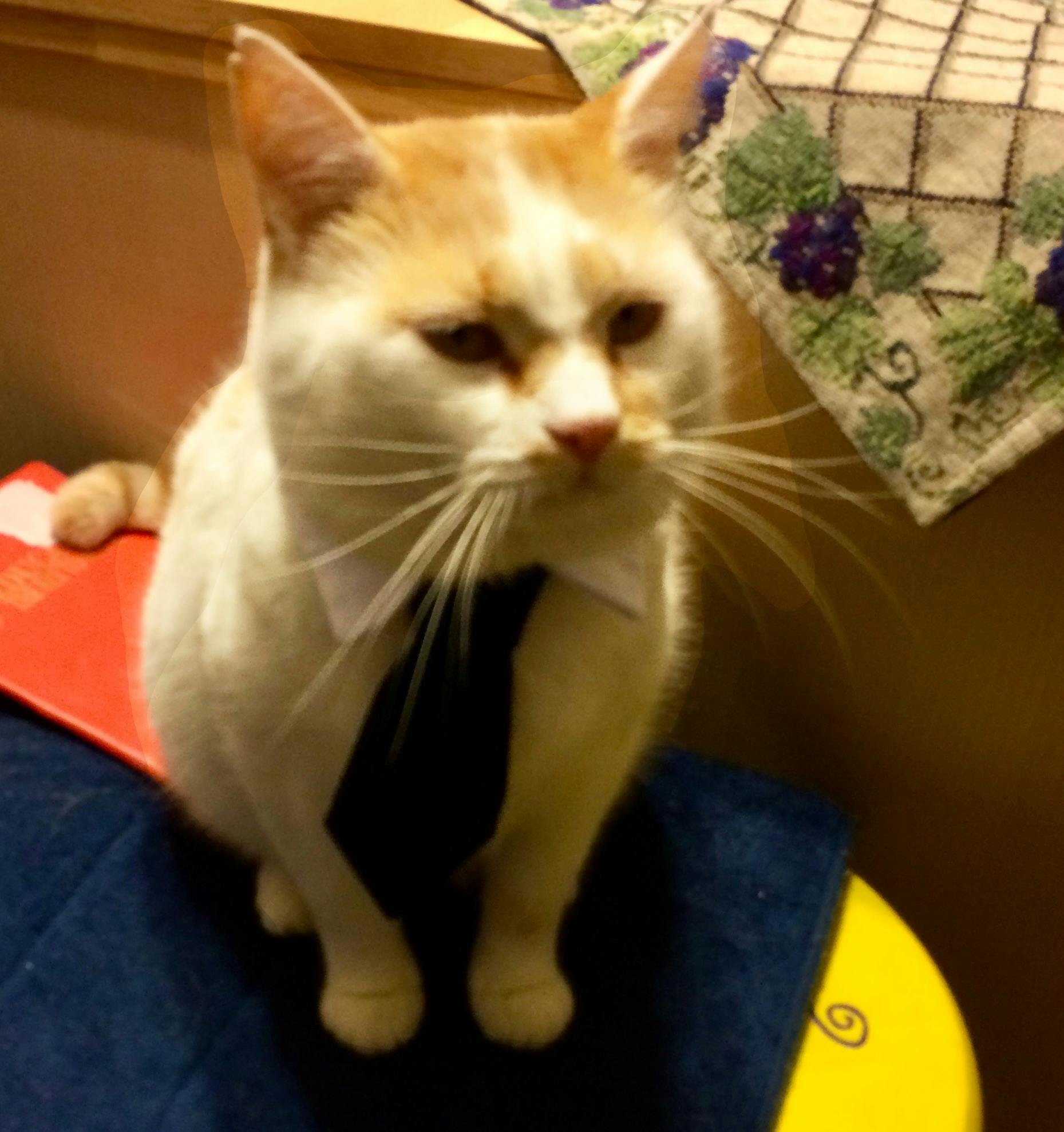 user avatar image for Nathan