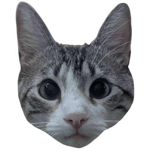 user avatar image for Katie