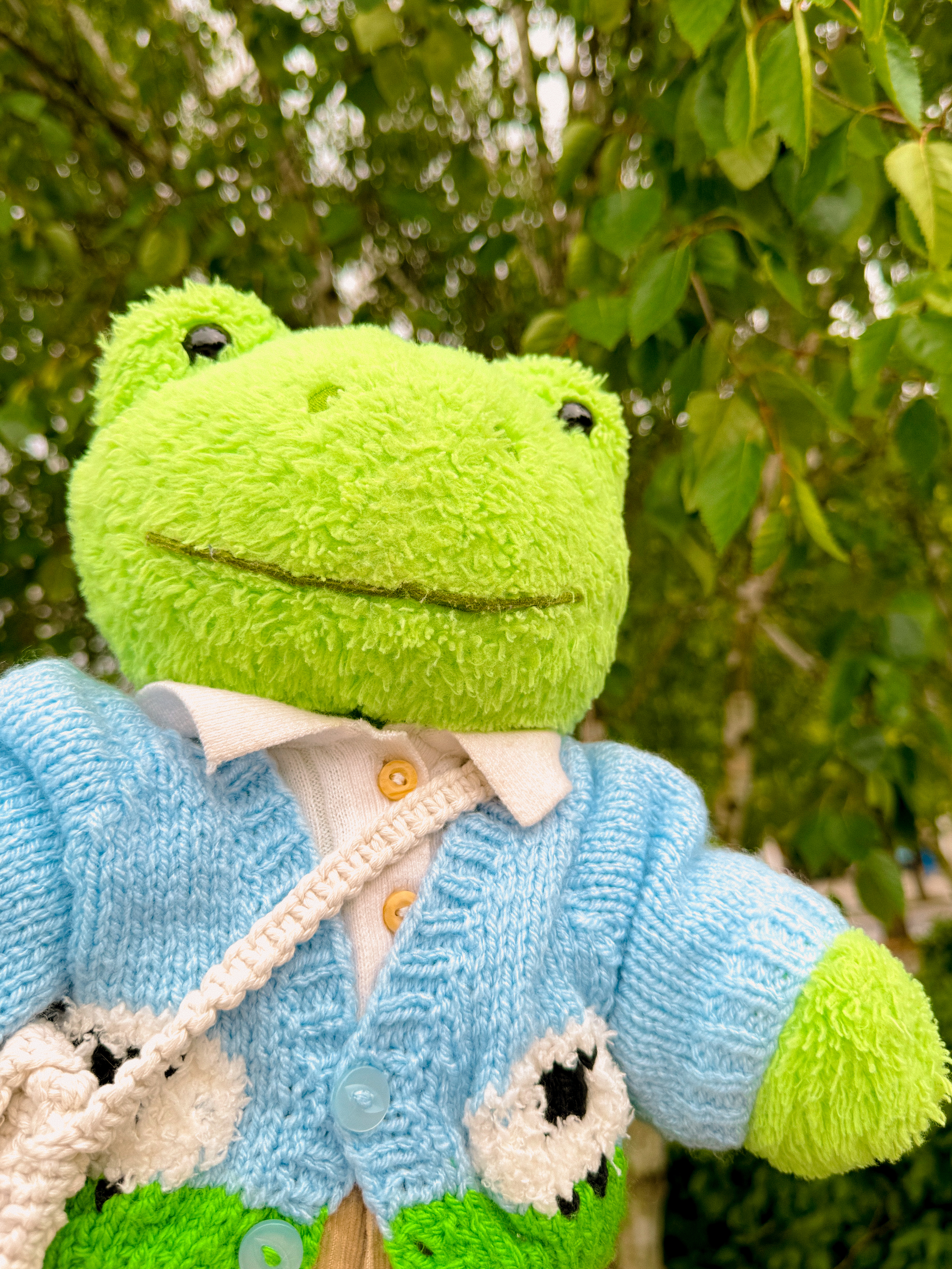 user avatar image for frankie frog
