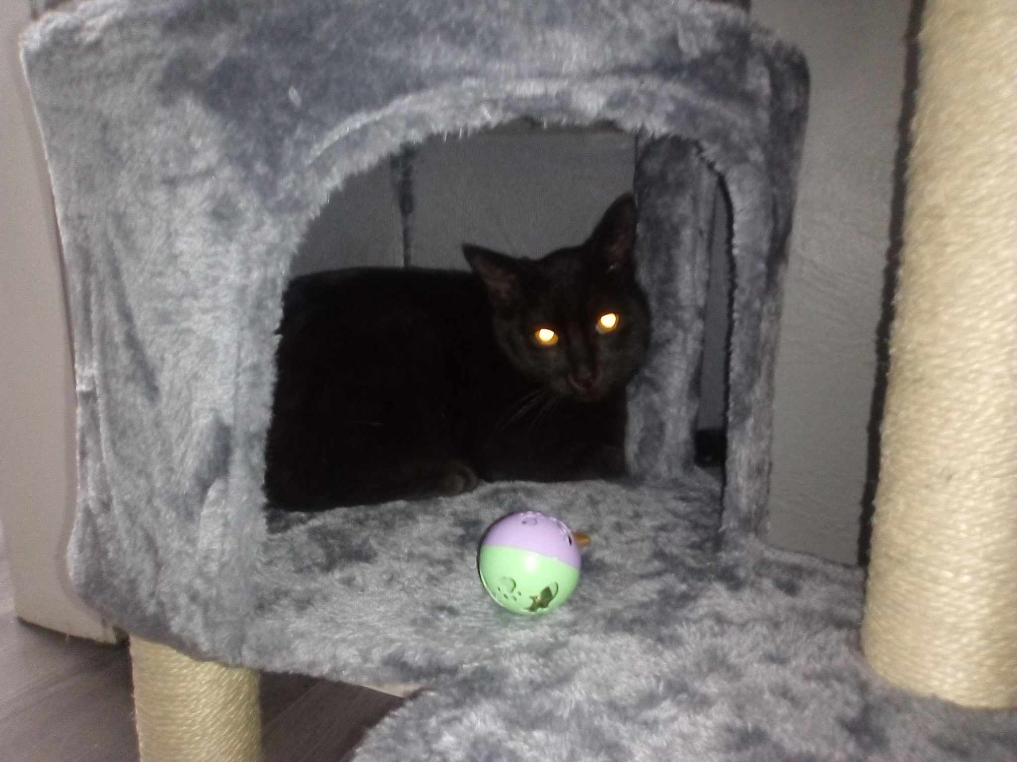 user avatar image for EvilErnie