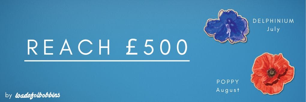 reach £500 blue delphinium for July and red poppy for August mini wooden pins unlock