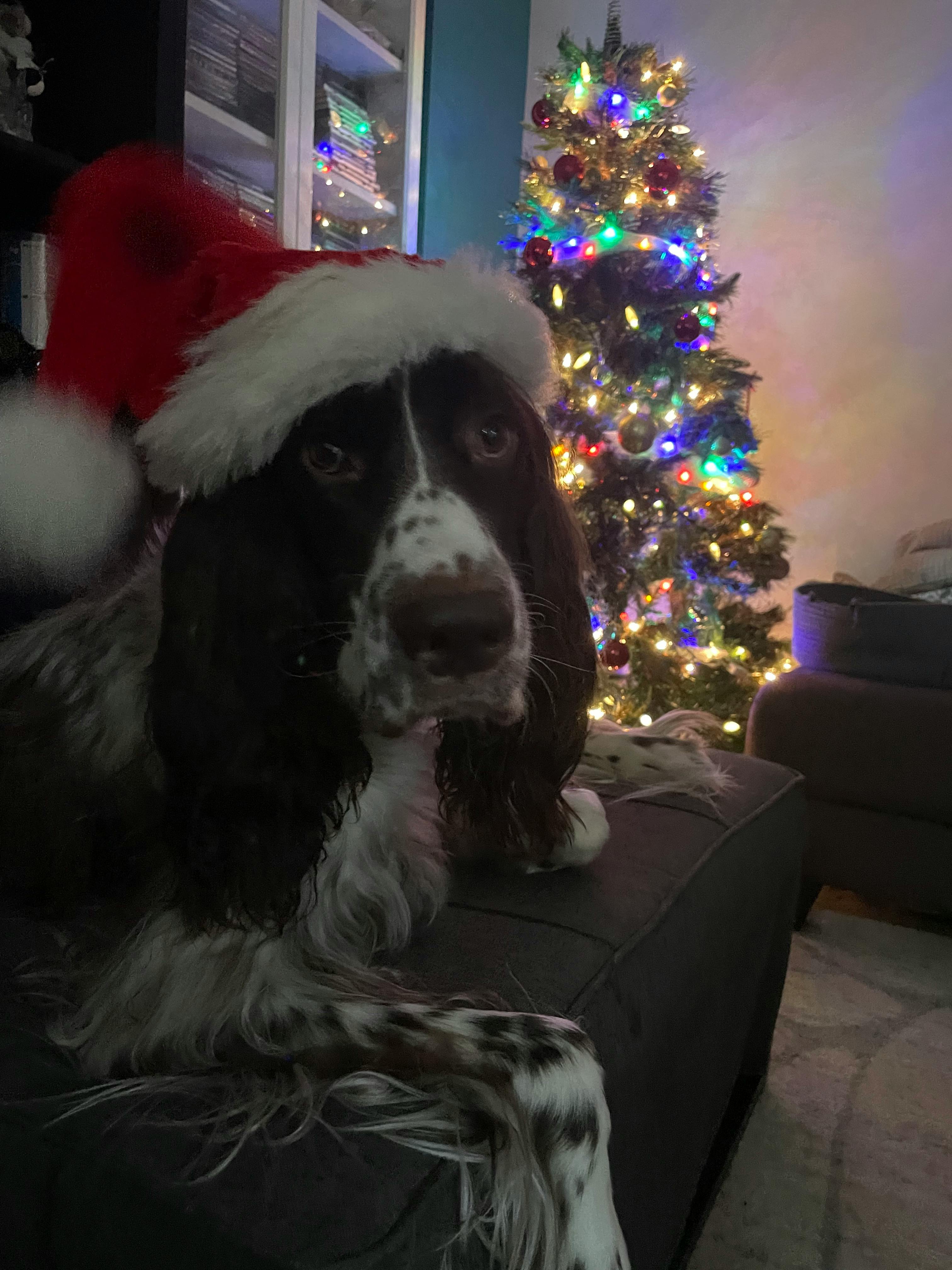 user avatar image for barburou