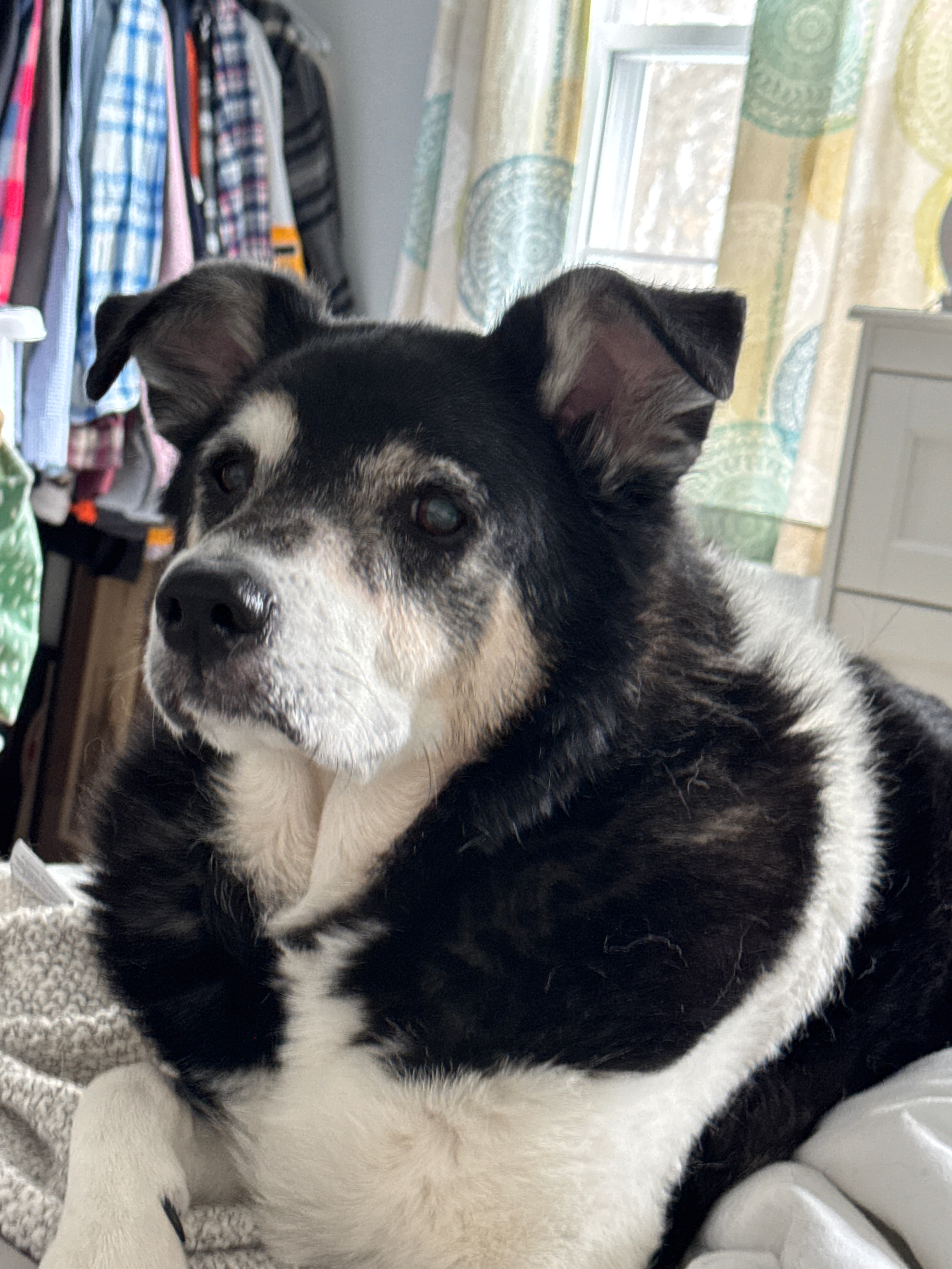 user avatar image for Eat the lemons 