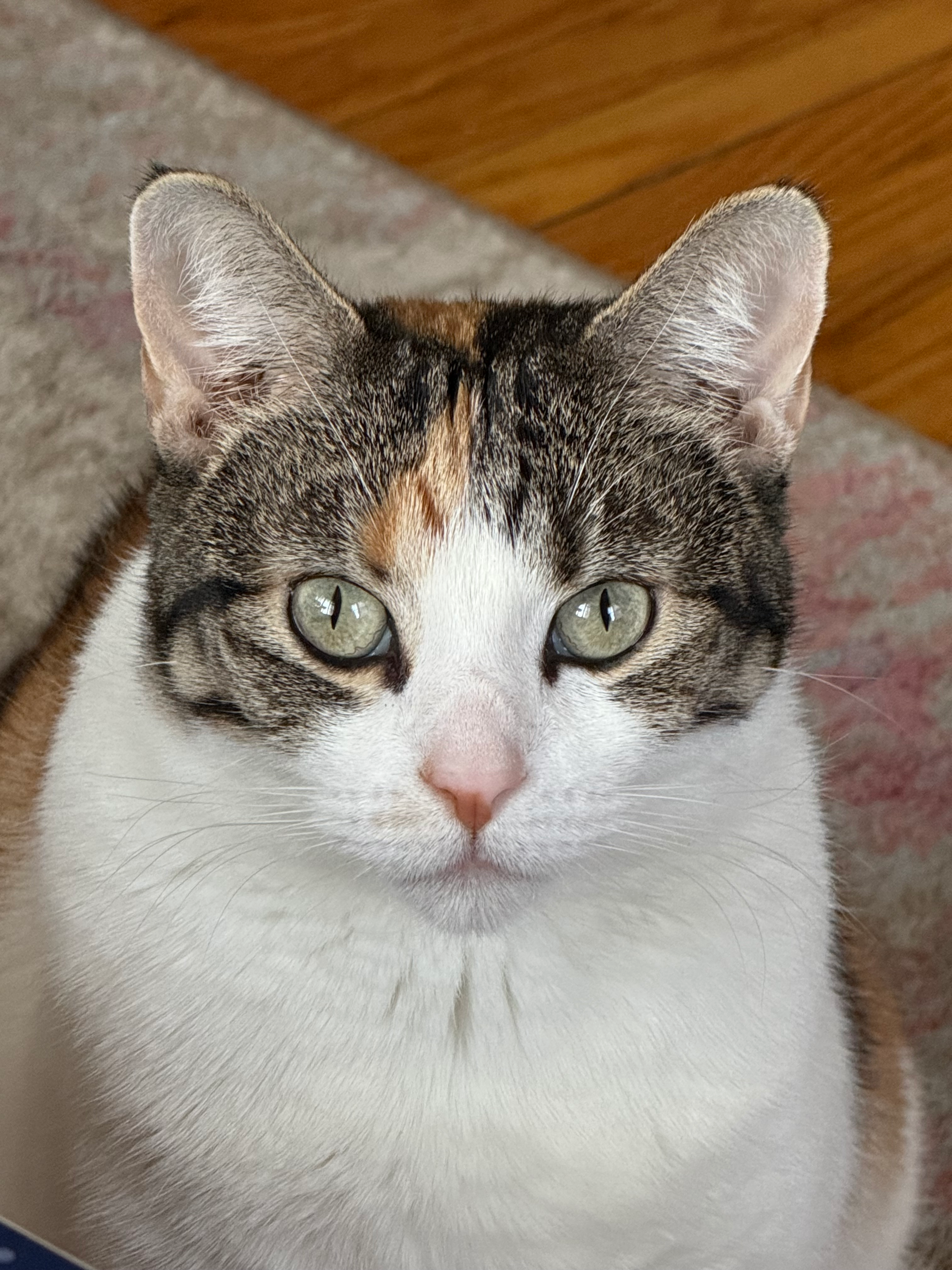 user avatar image for Elizabeth