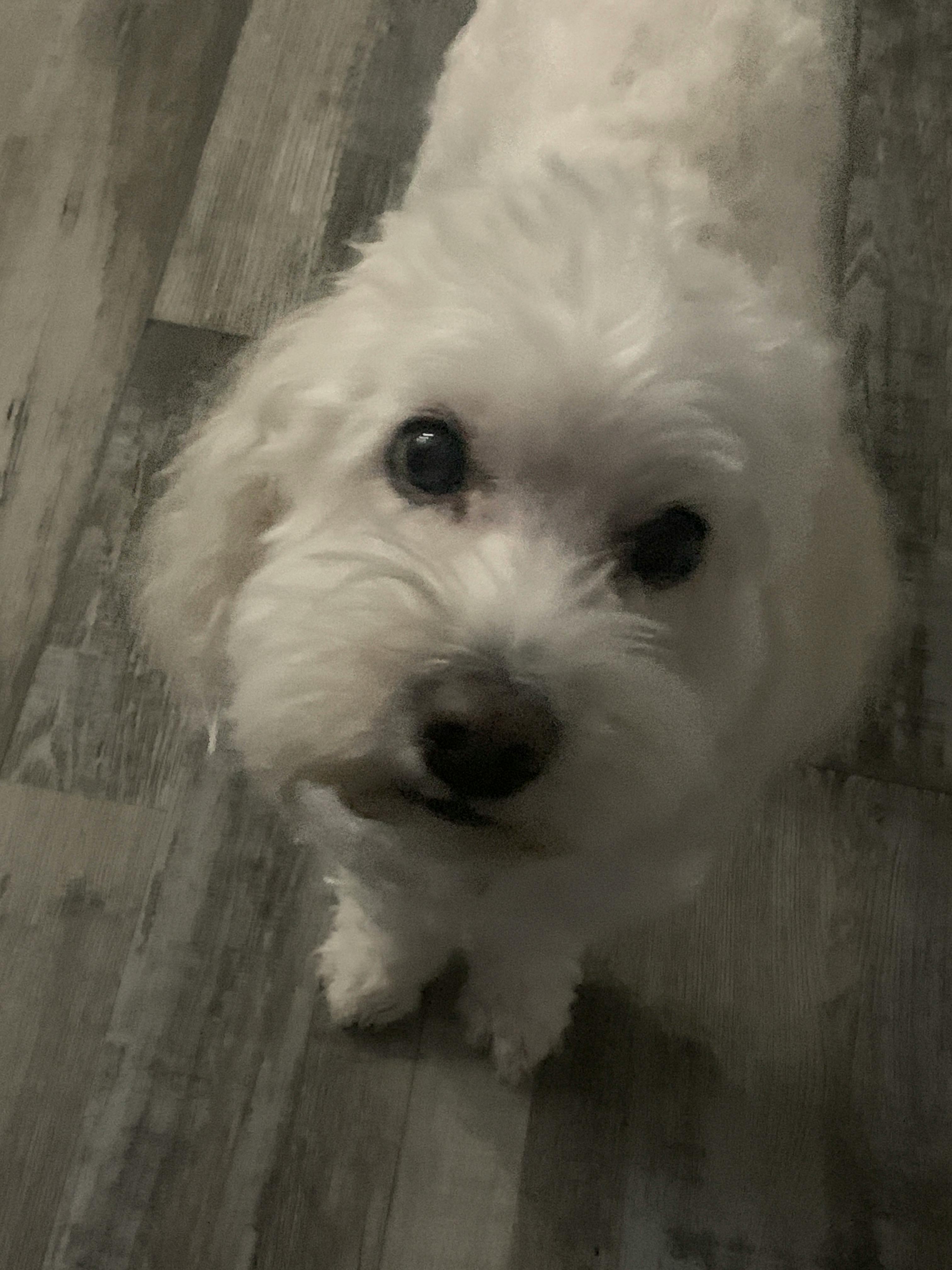 user avatar image for Briell