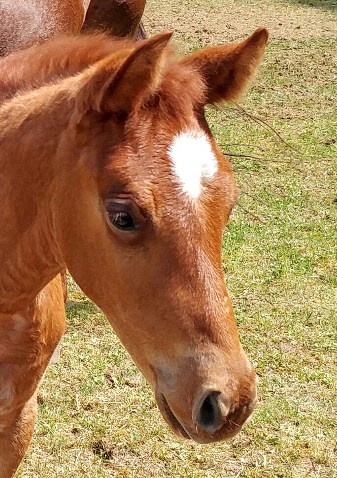 user avatar image for Val