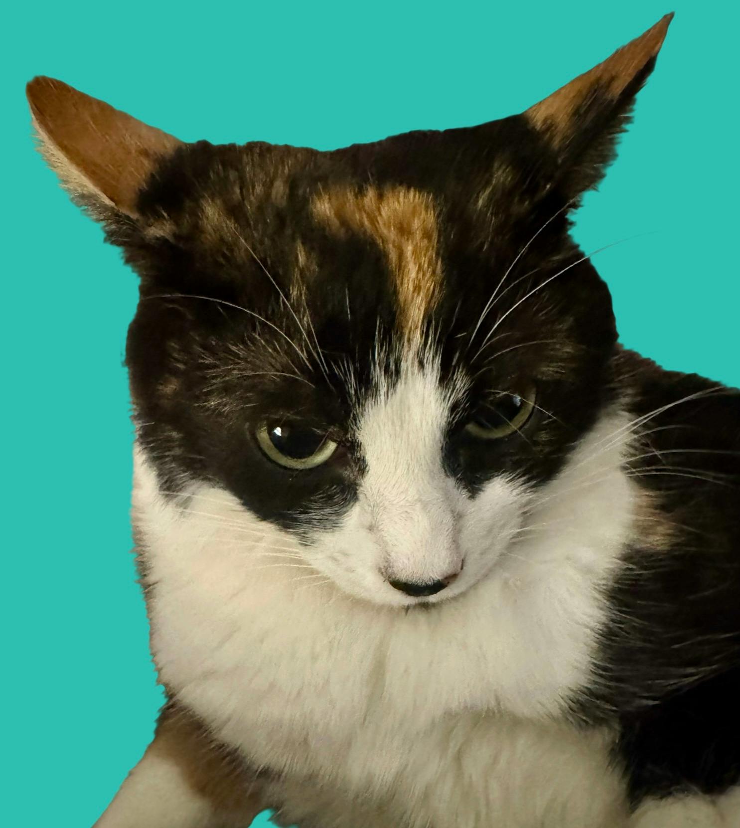 user avatar image for Keana