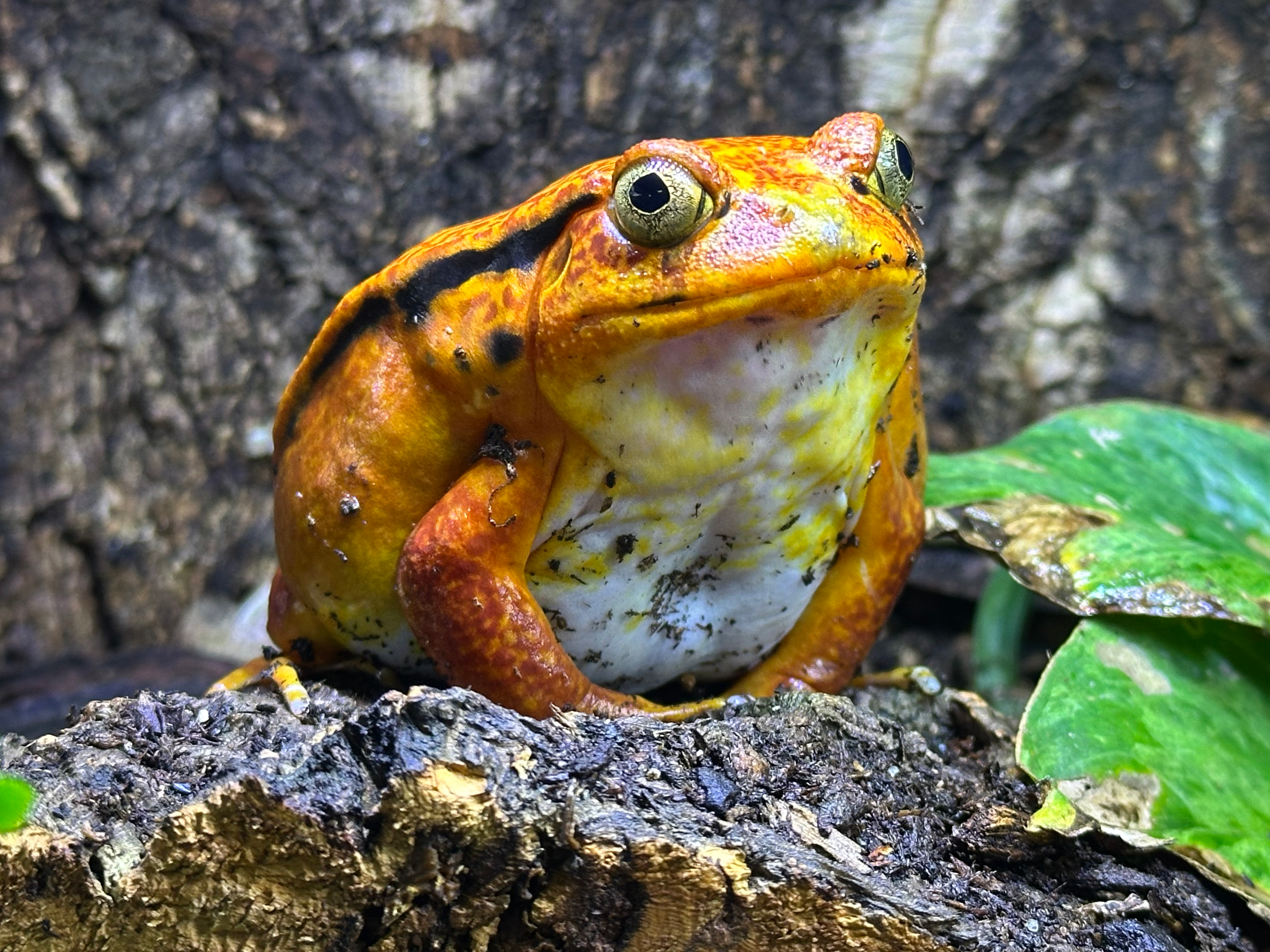 user avatar image for Nora Genter