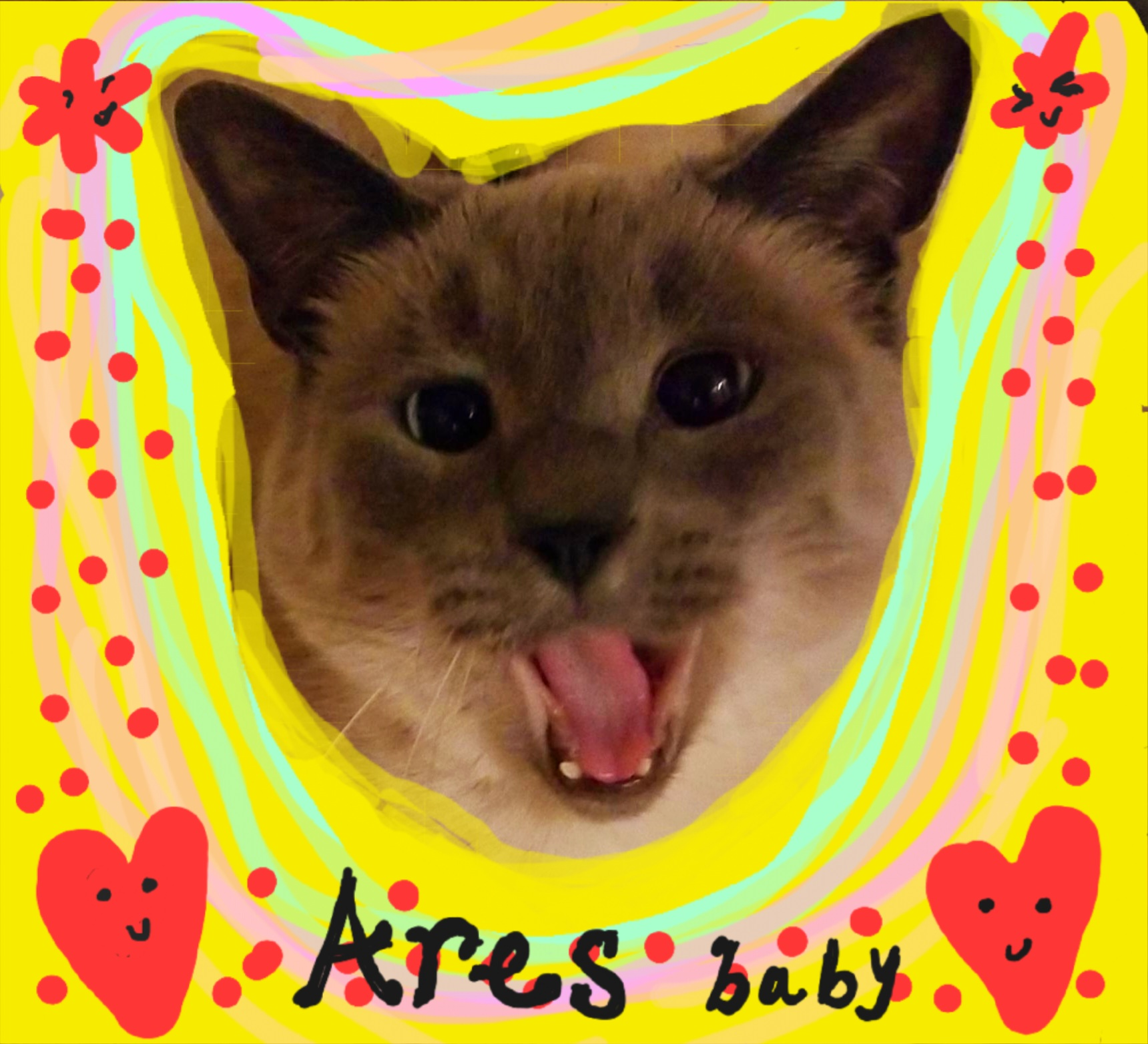 user avatar image for Astrid