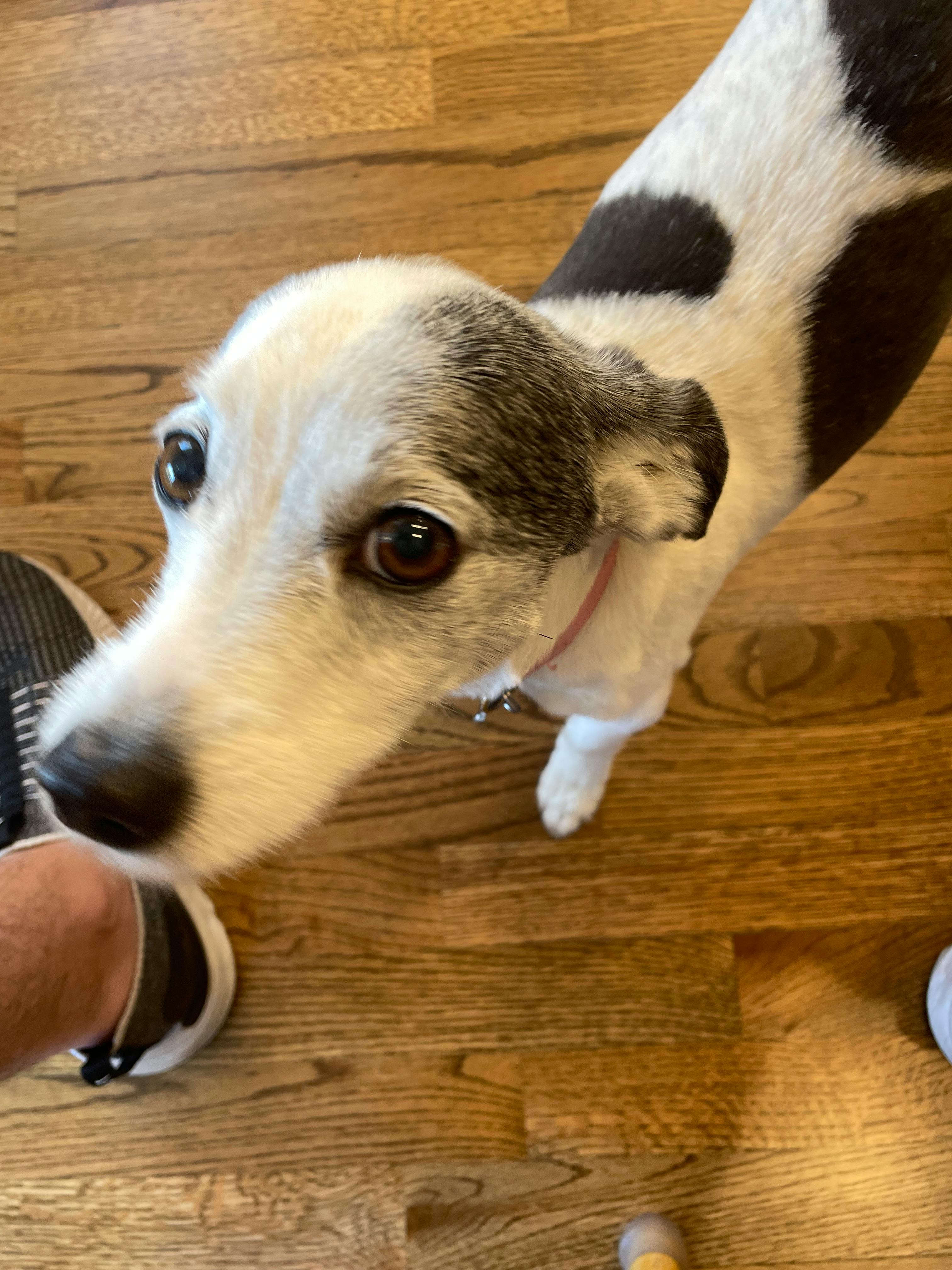 user avatar image for JTaylor4427