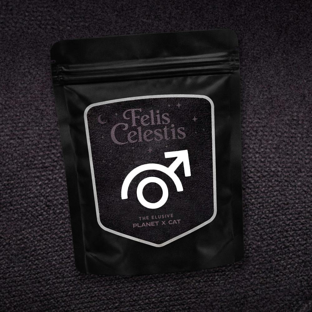 Planet X Cat (Blind Box)