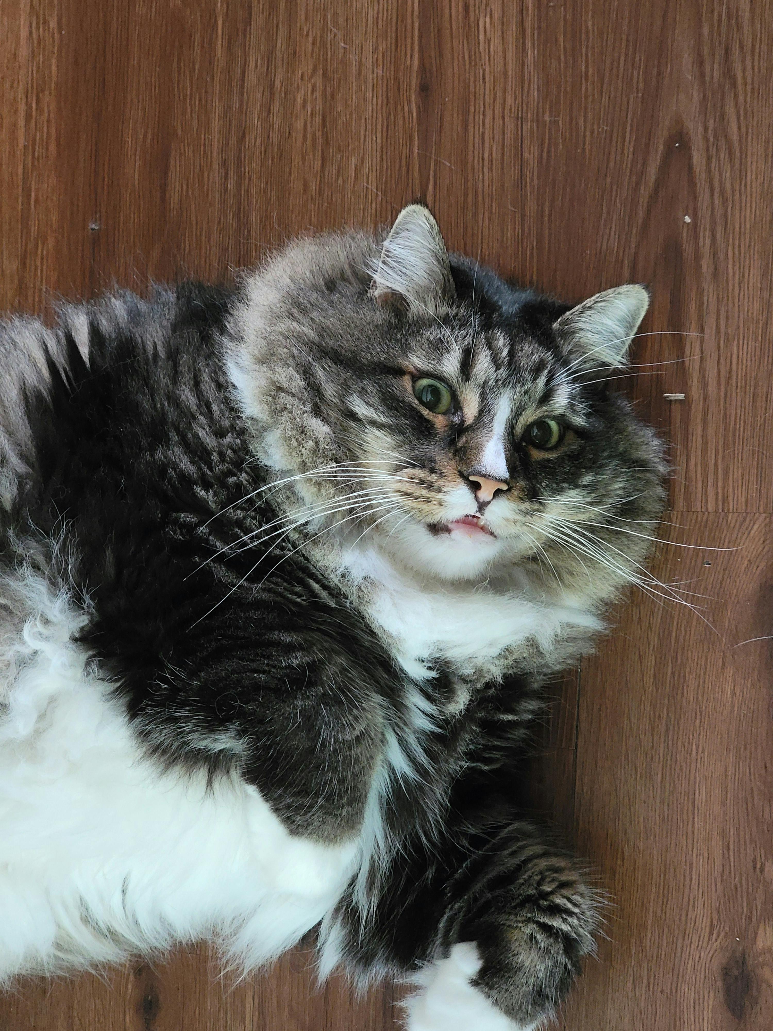 user avatar image for Goddess of Dorkness