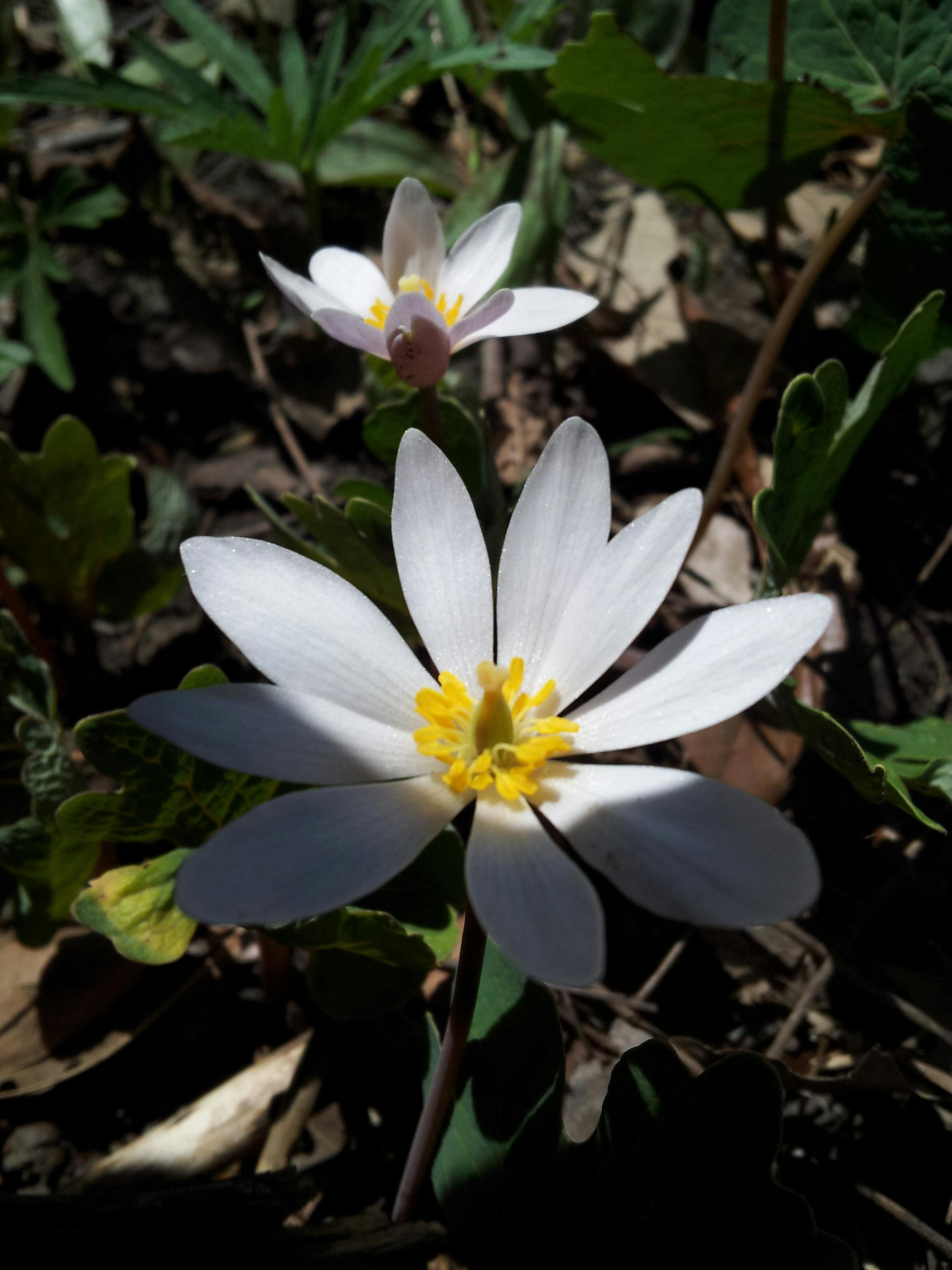 user avatar image for Janine Bourdo