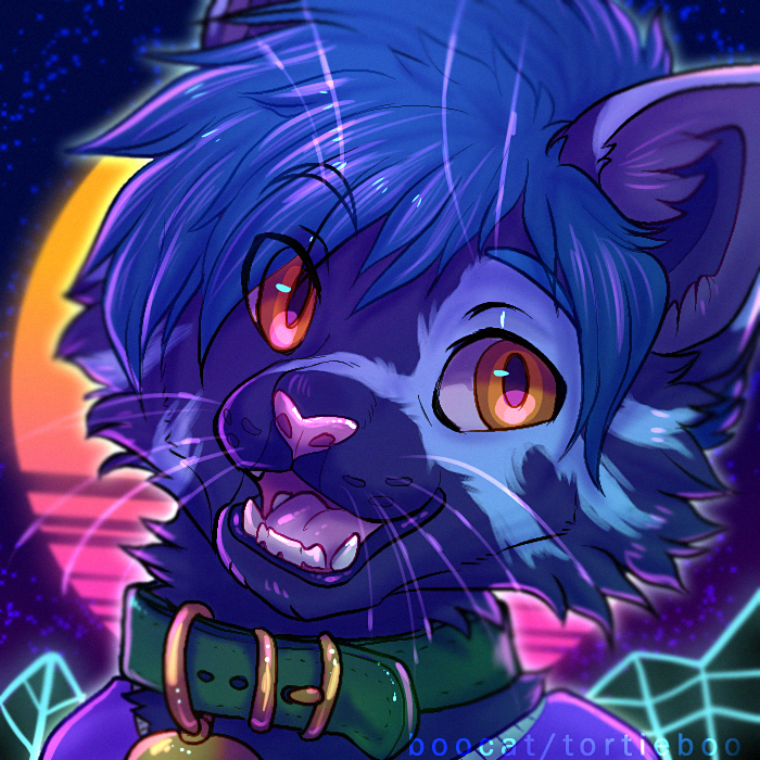 user avatar image for Sige