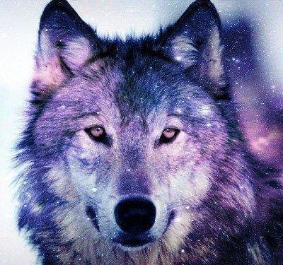 user avatar image for KianaBrightwood