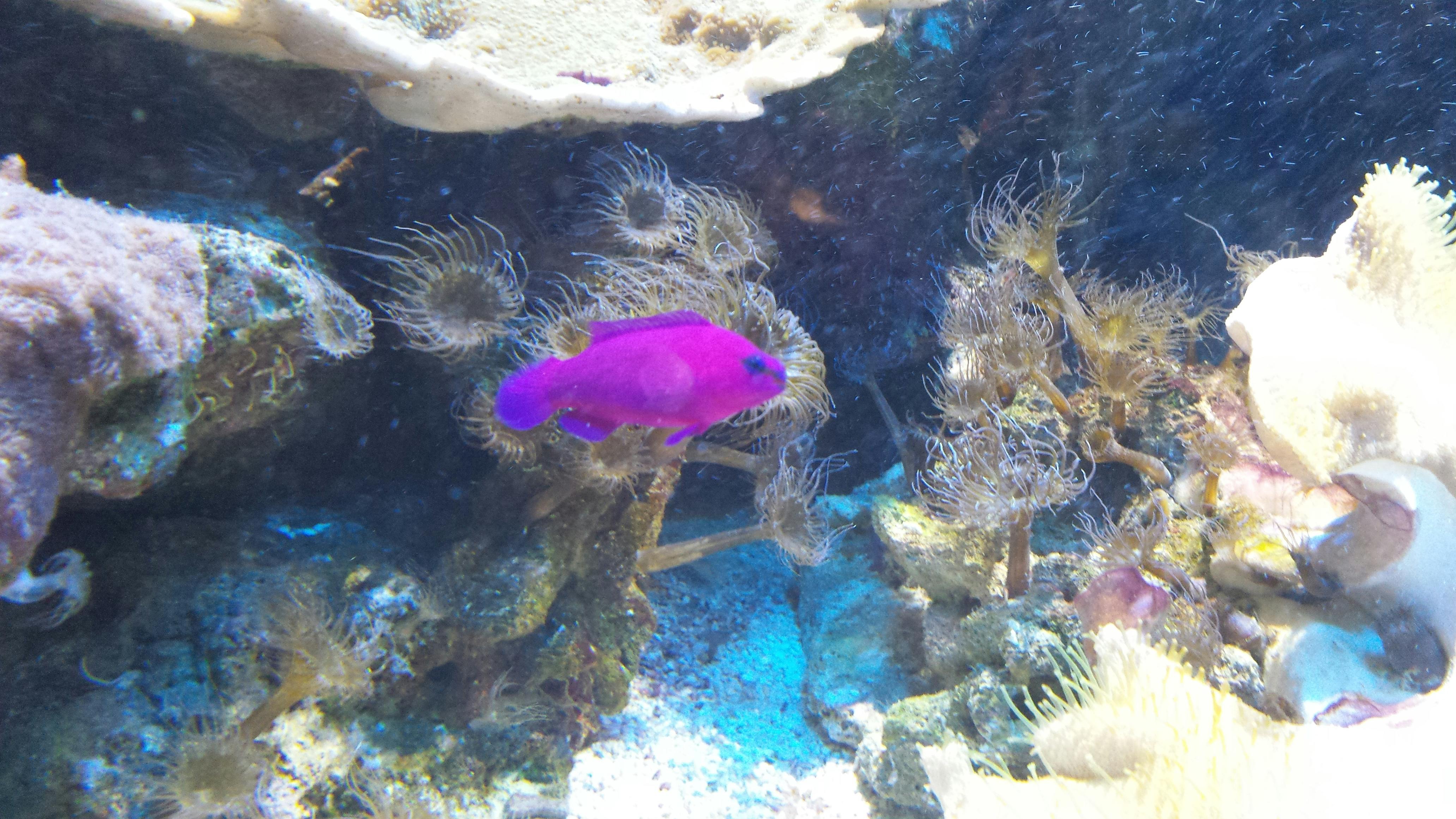 user avatar image for Leanne Rabesa