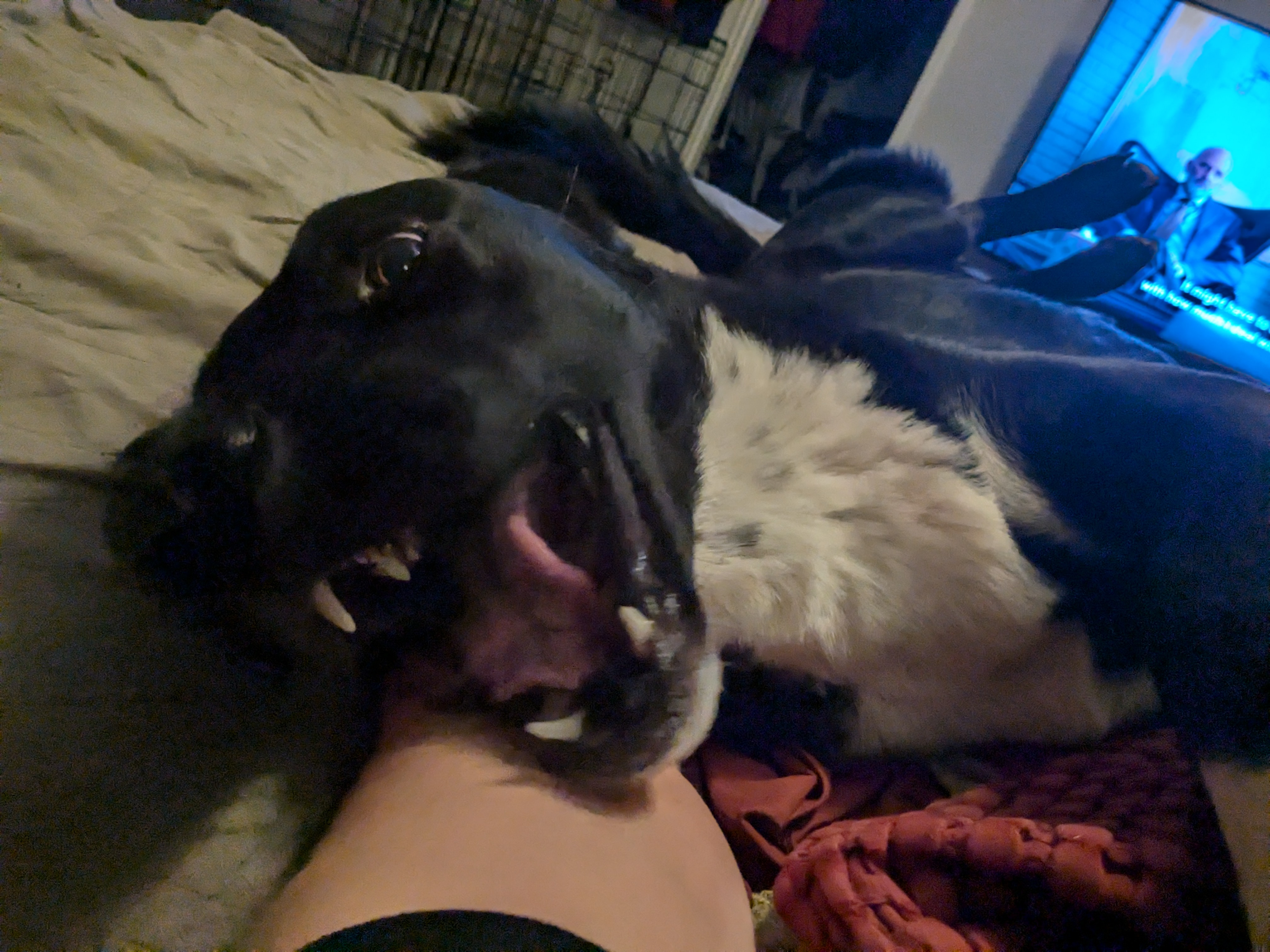 user avatar image for Danielle Childress