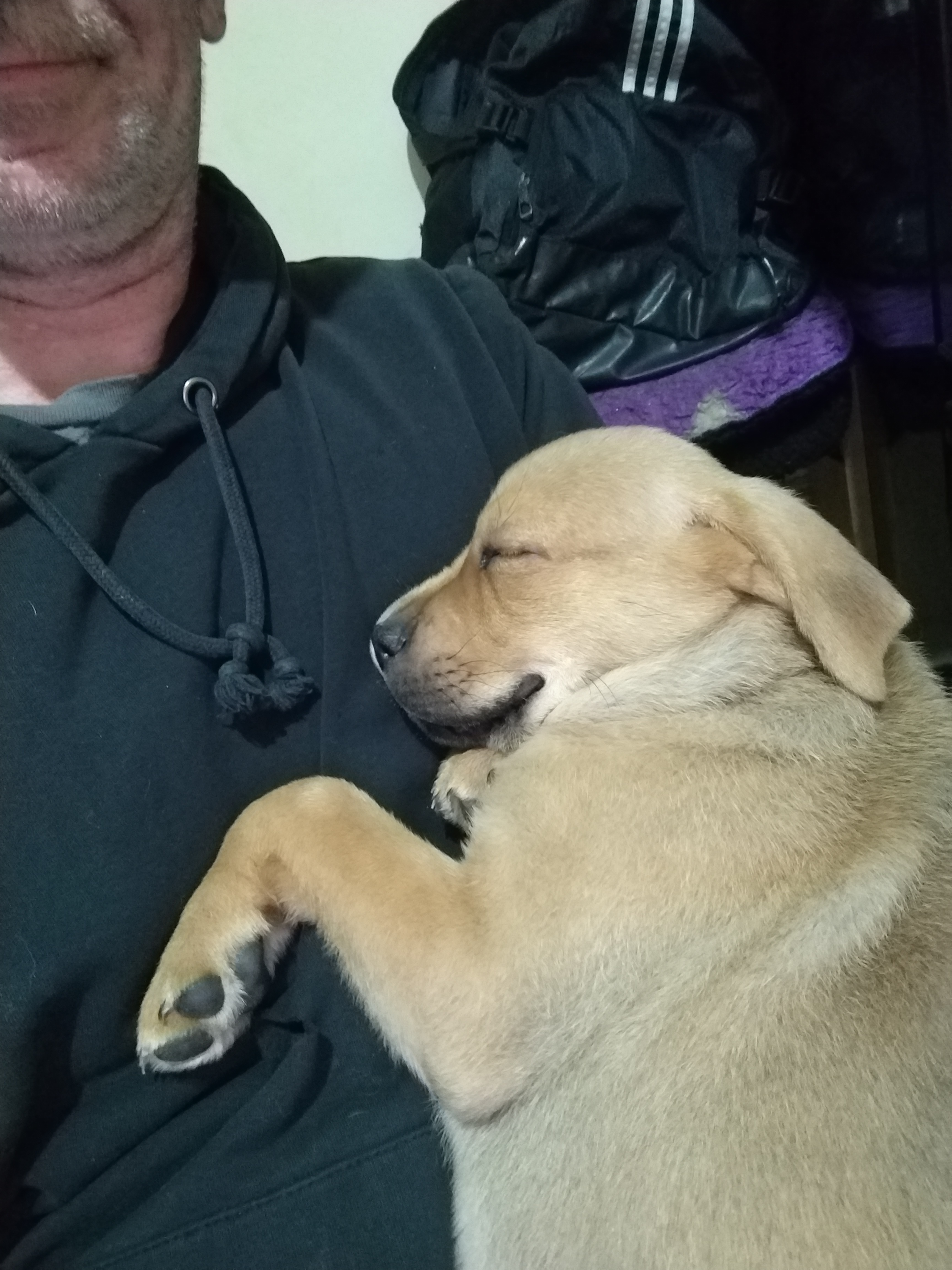 user avatar image for Simon 